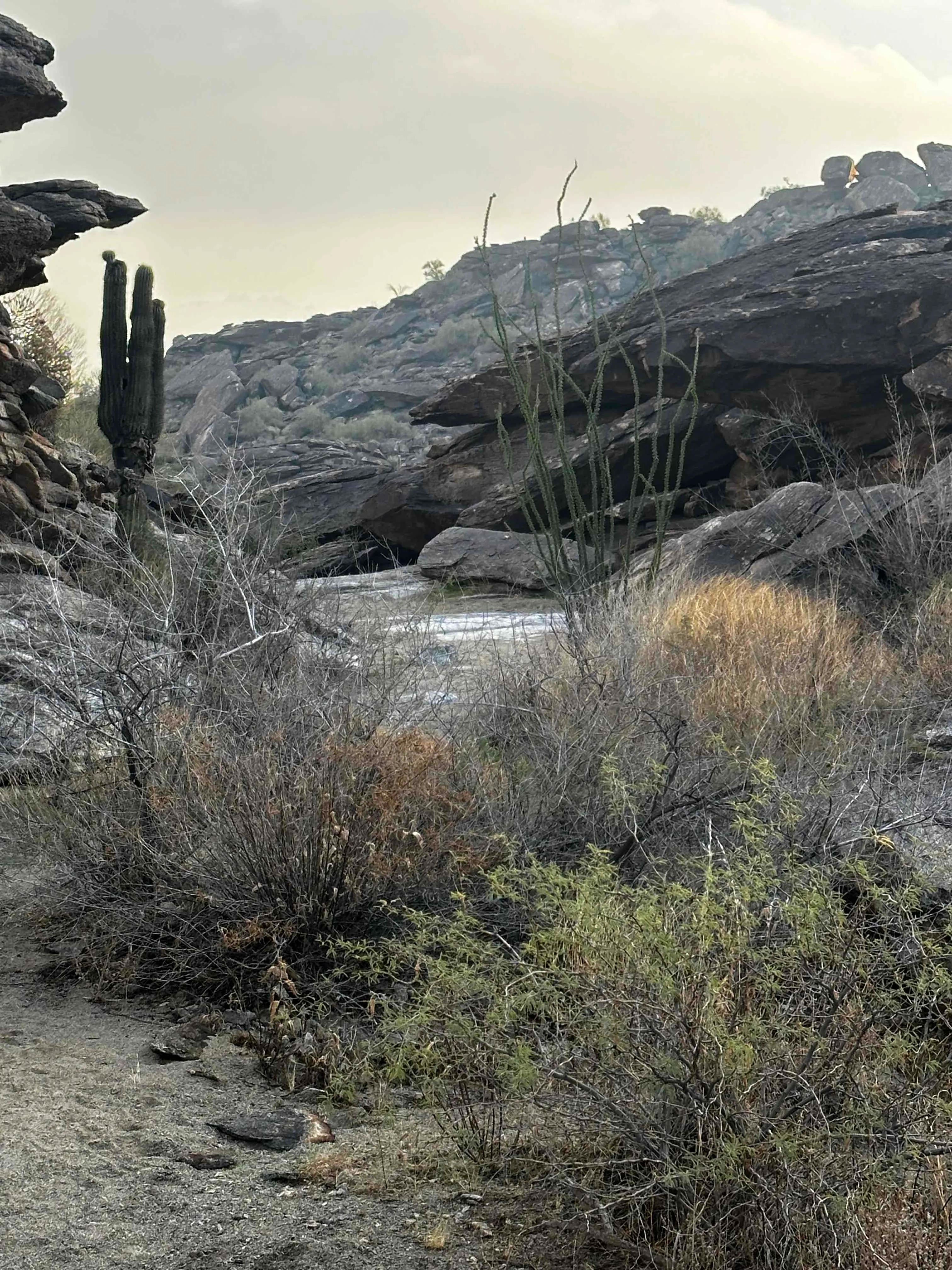 Acer Summit Via Mormon Trail
