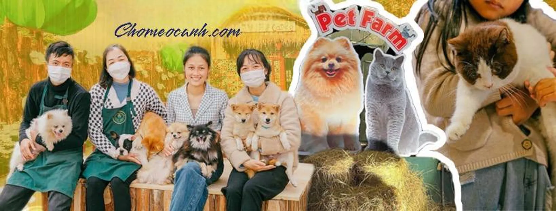 Chomeocanh Com