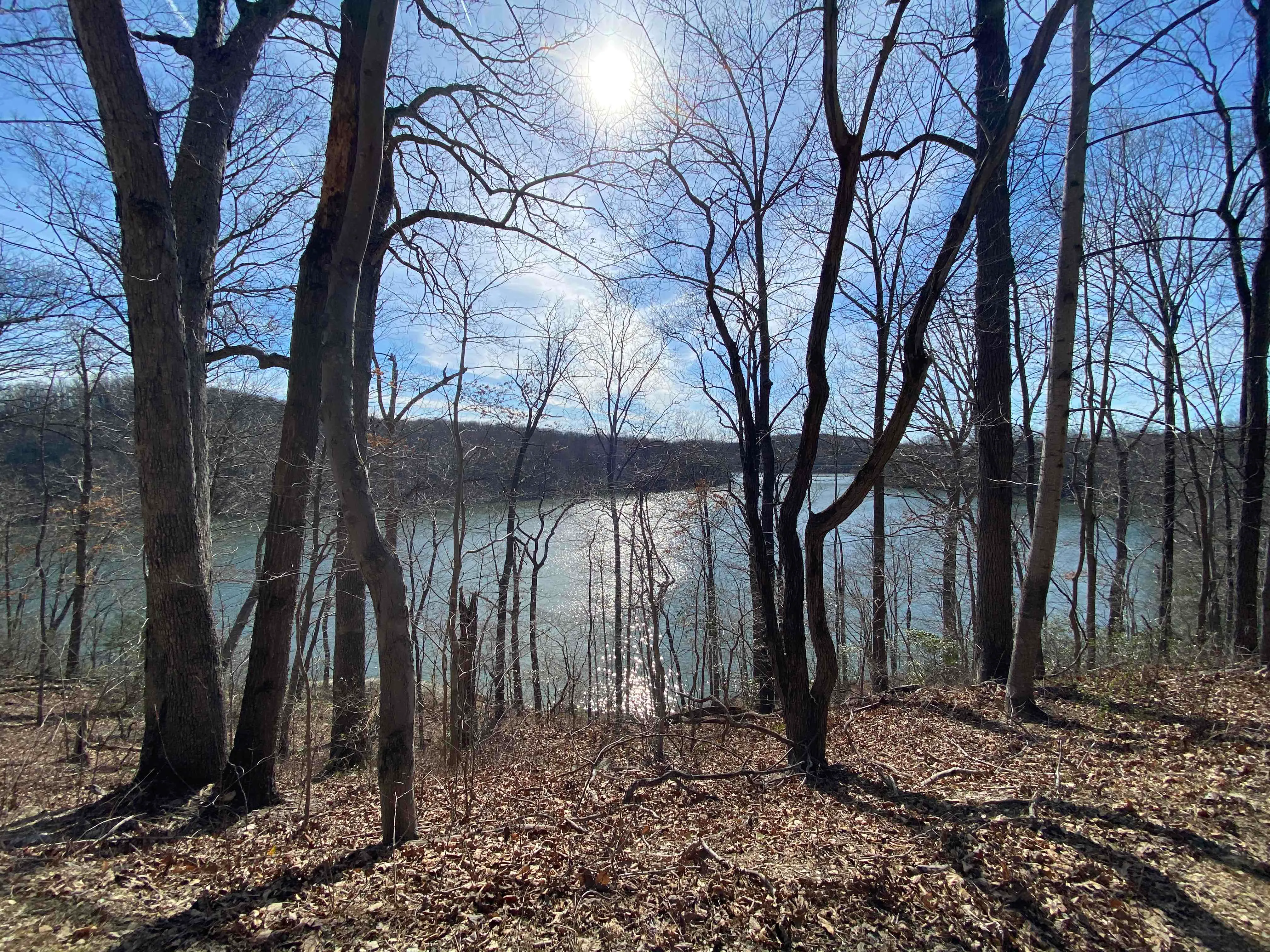 Mineral Hill Trail