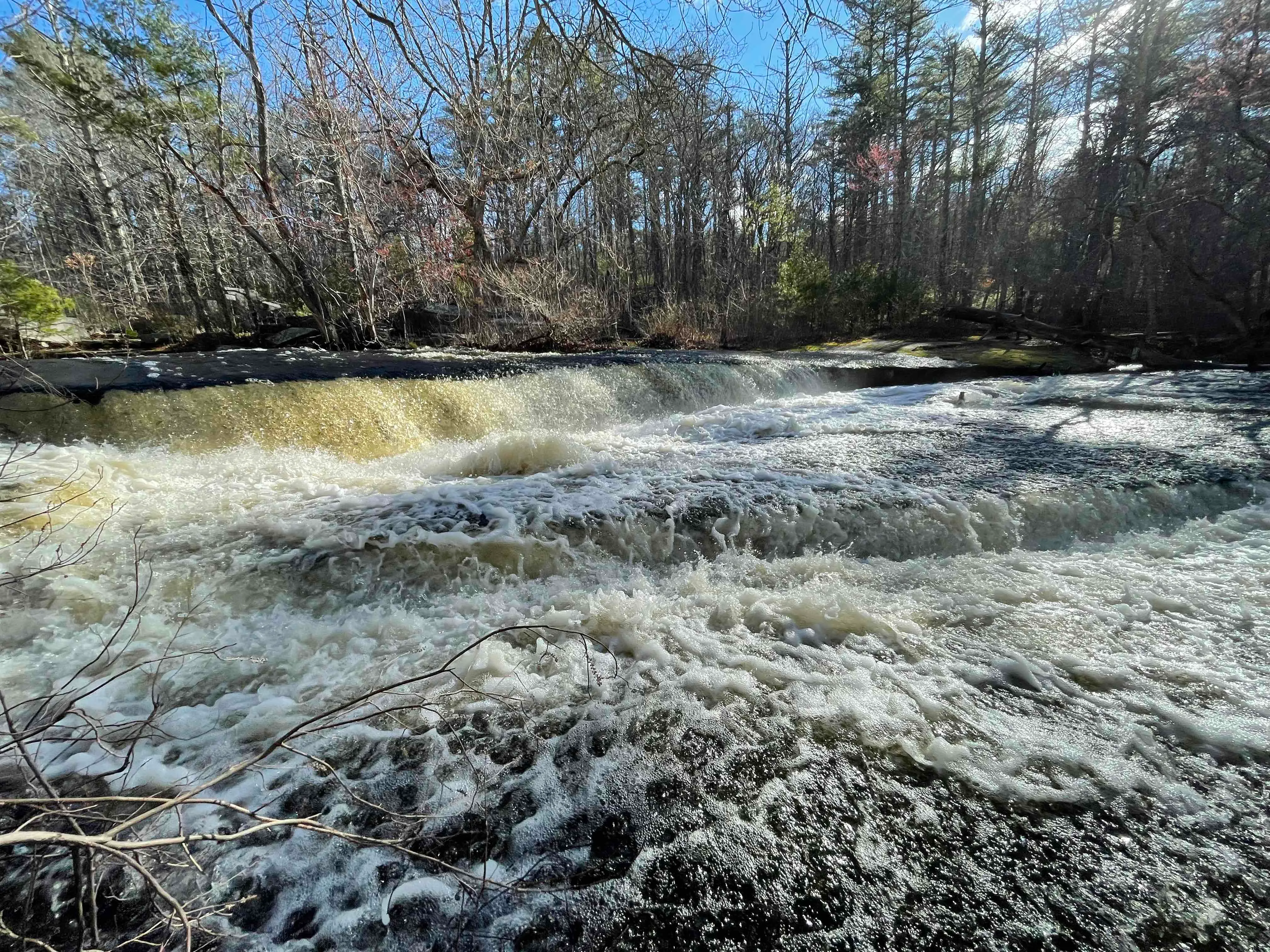 Stepstone Falls via Ben Utter Trail