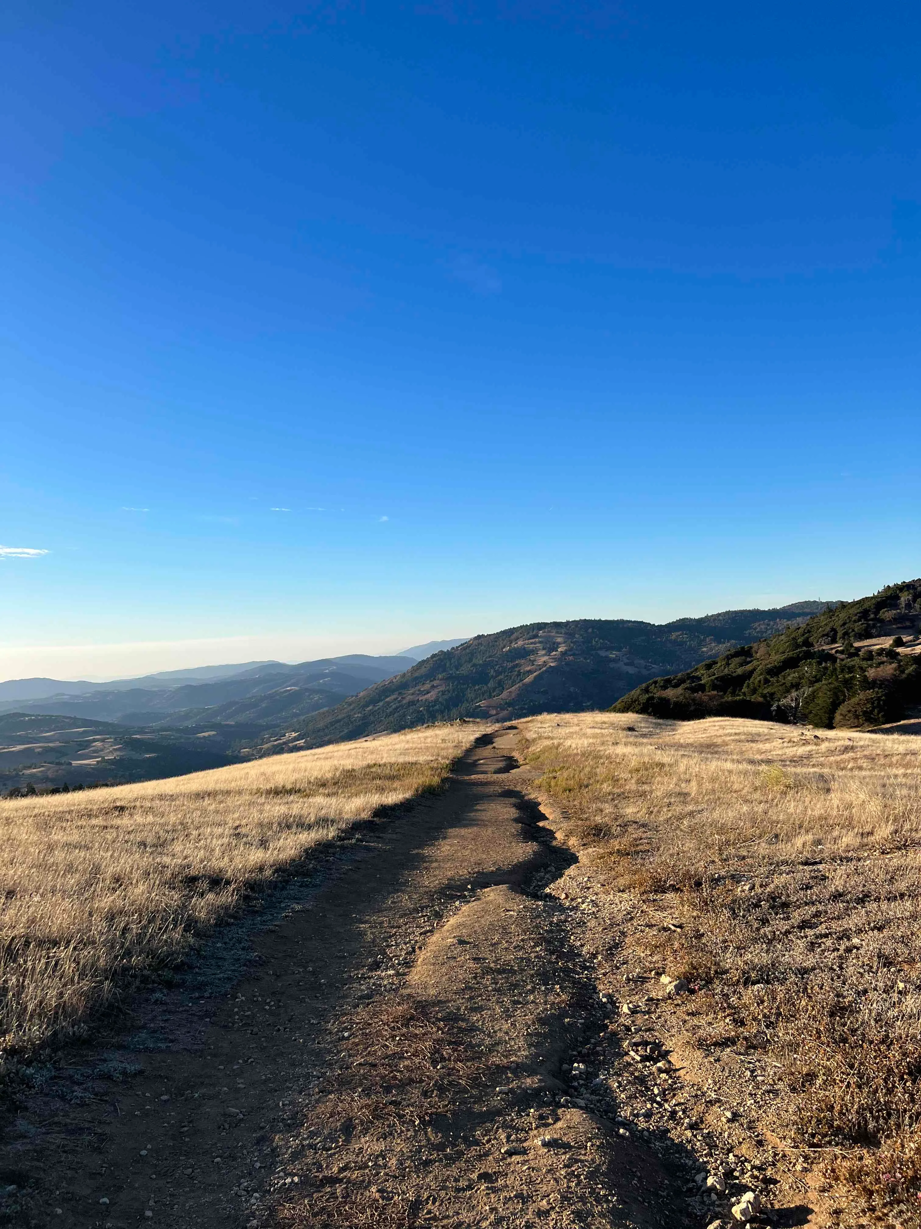 Volcan Mountain Trail