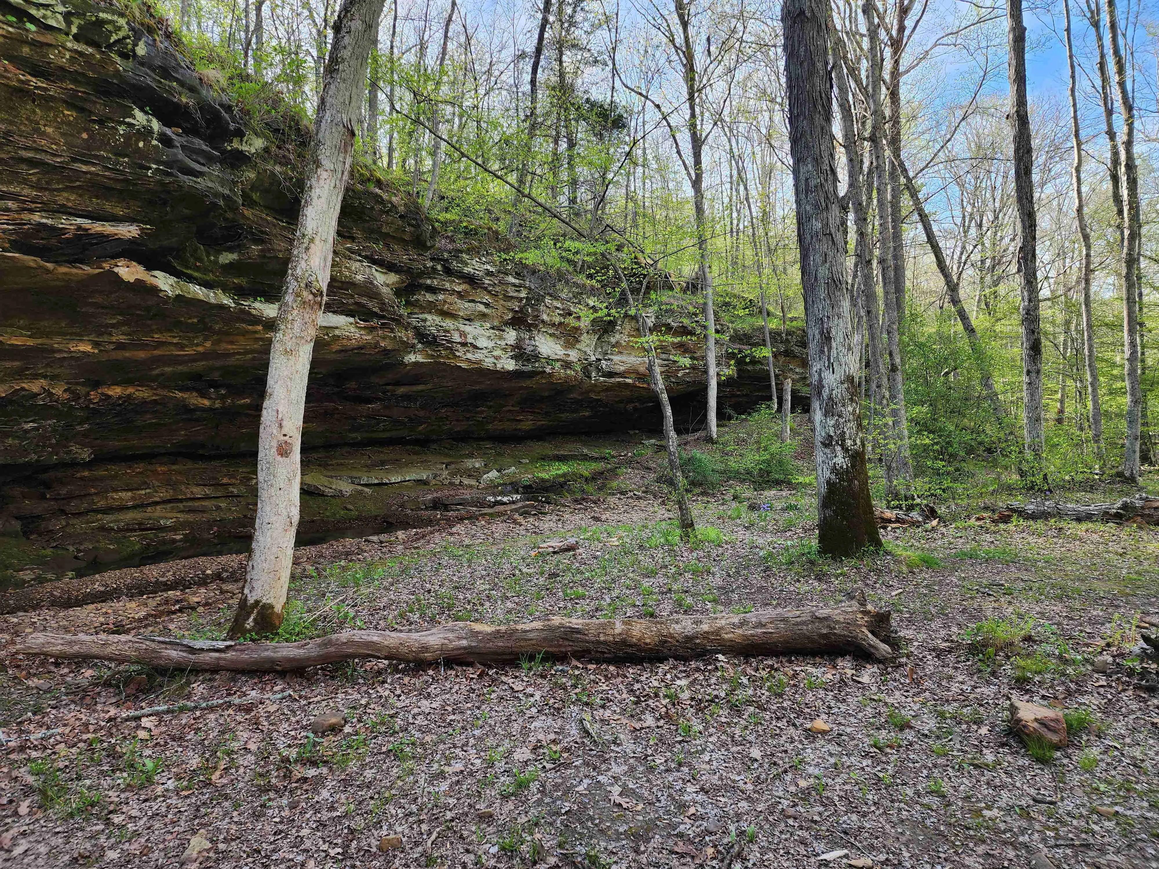 Panther Den Loop