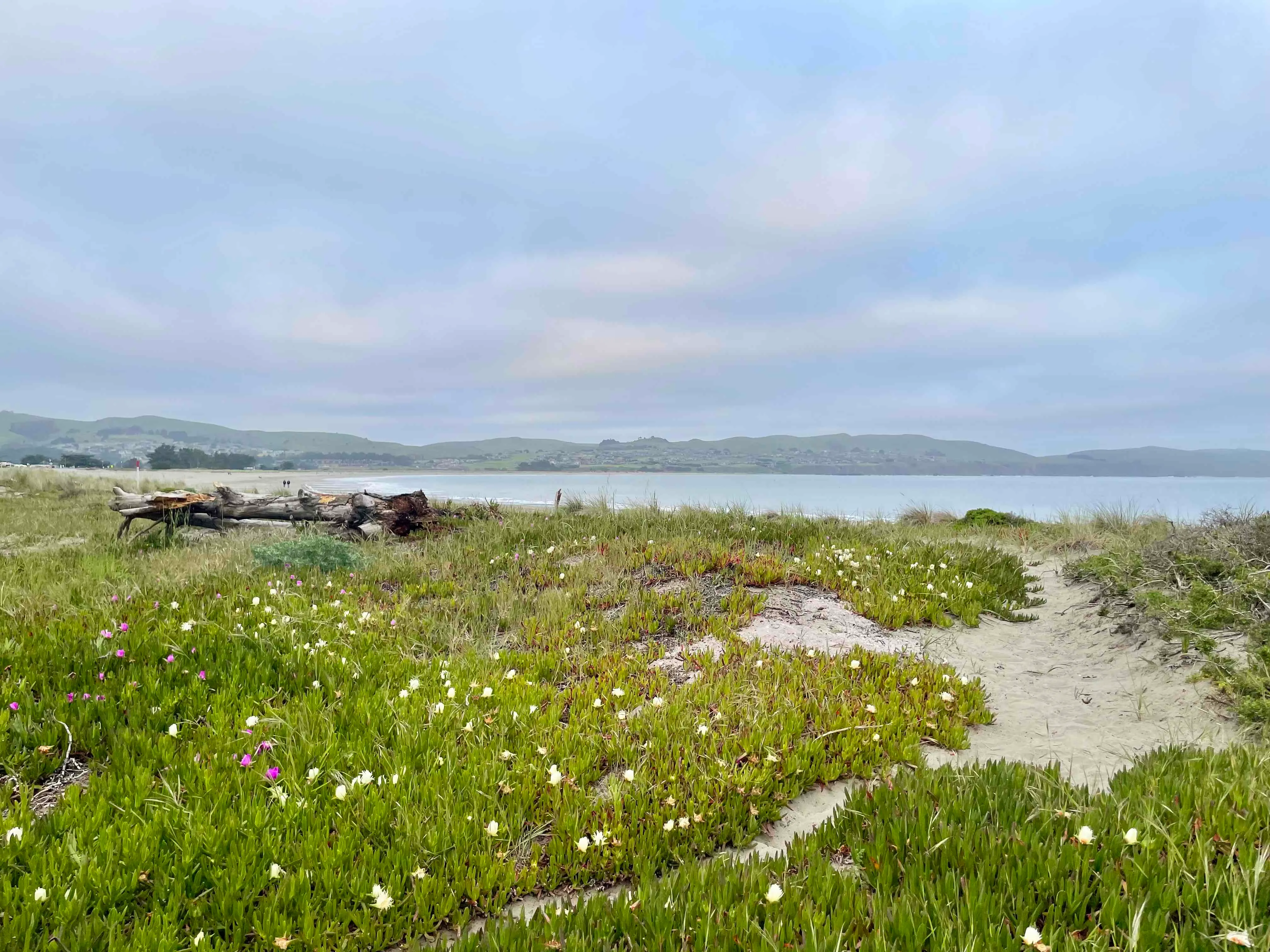 Miwok Campground at Doran Regional Park