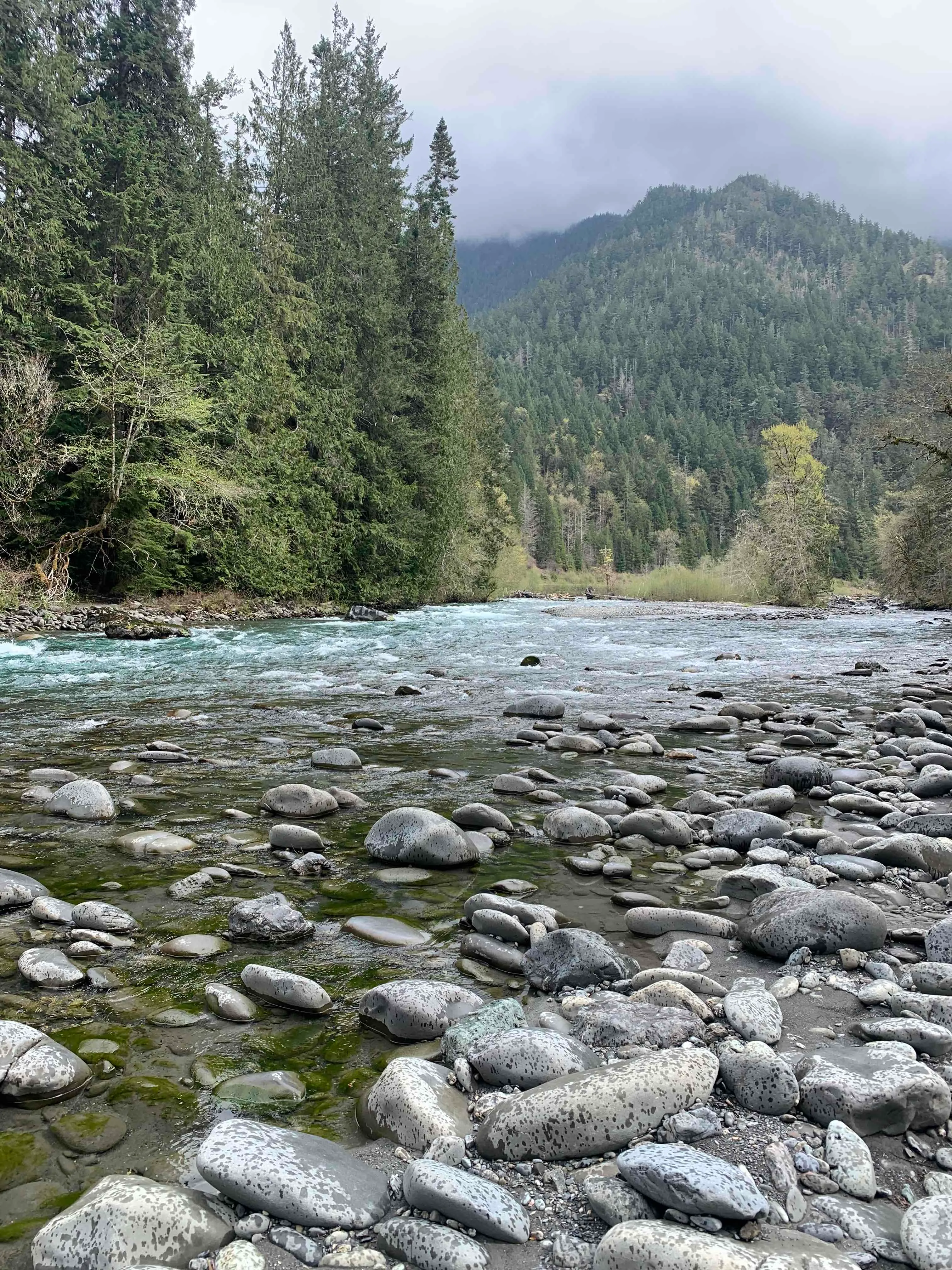 West Elwha River Trail