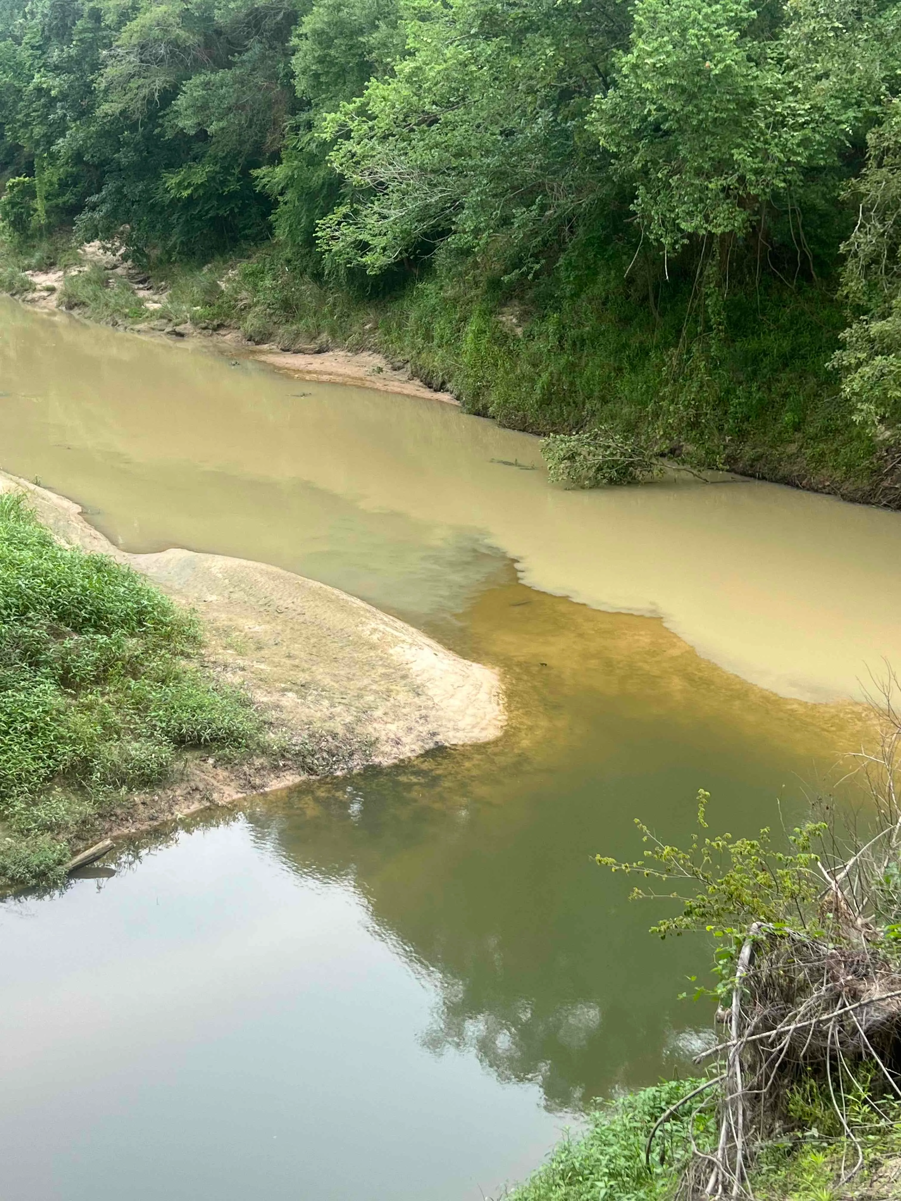 Hike Spring Creek Nature Trail