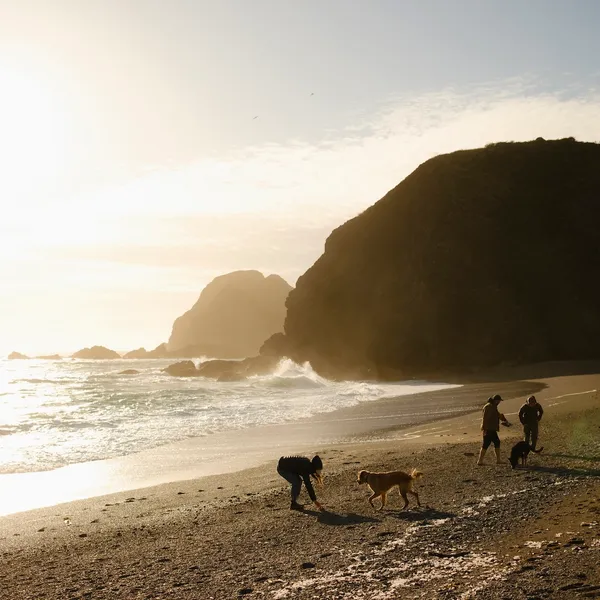 Overnighter on the Sonoma Coast