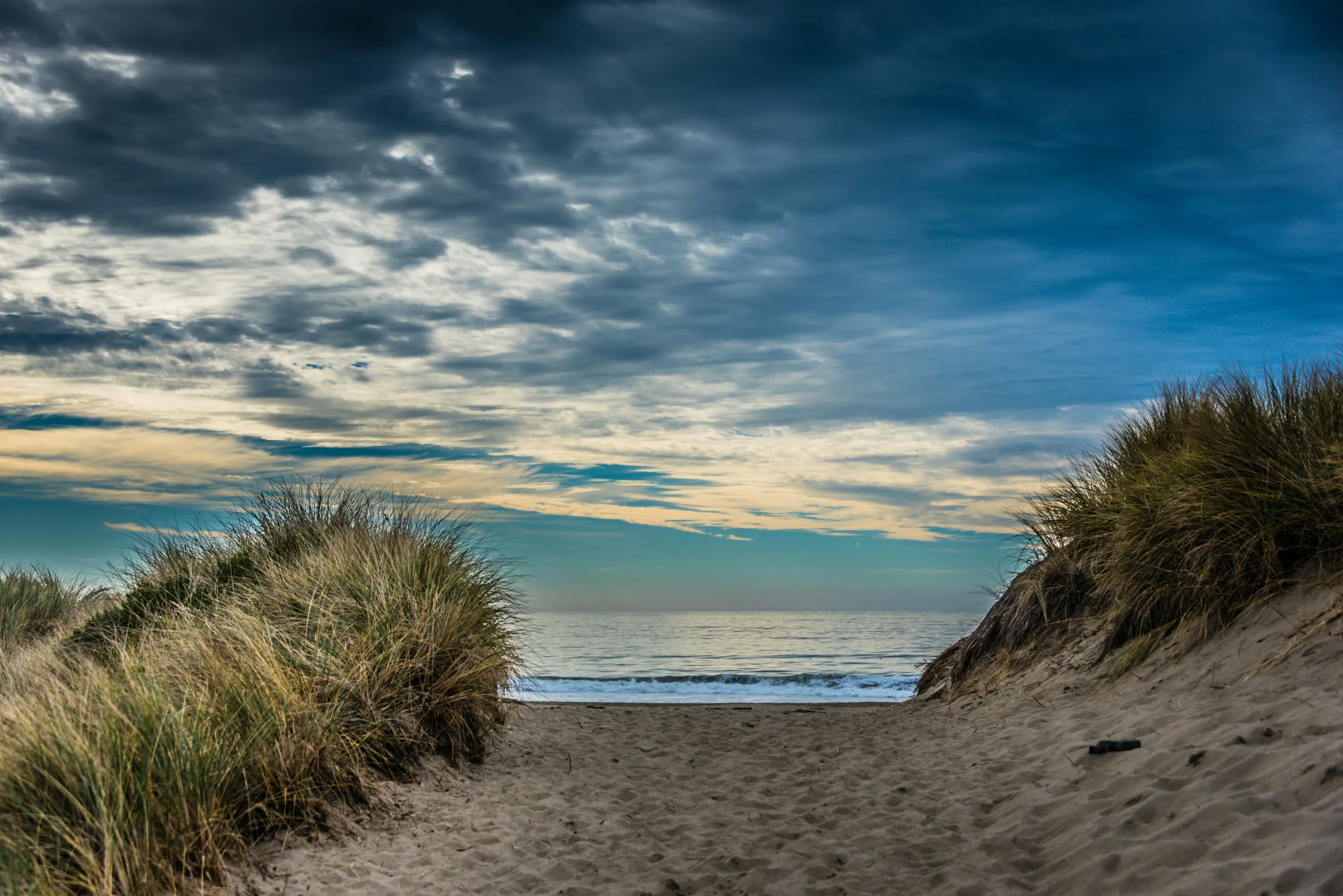 Limantour Beach