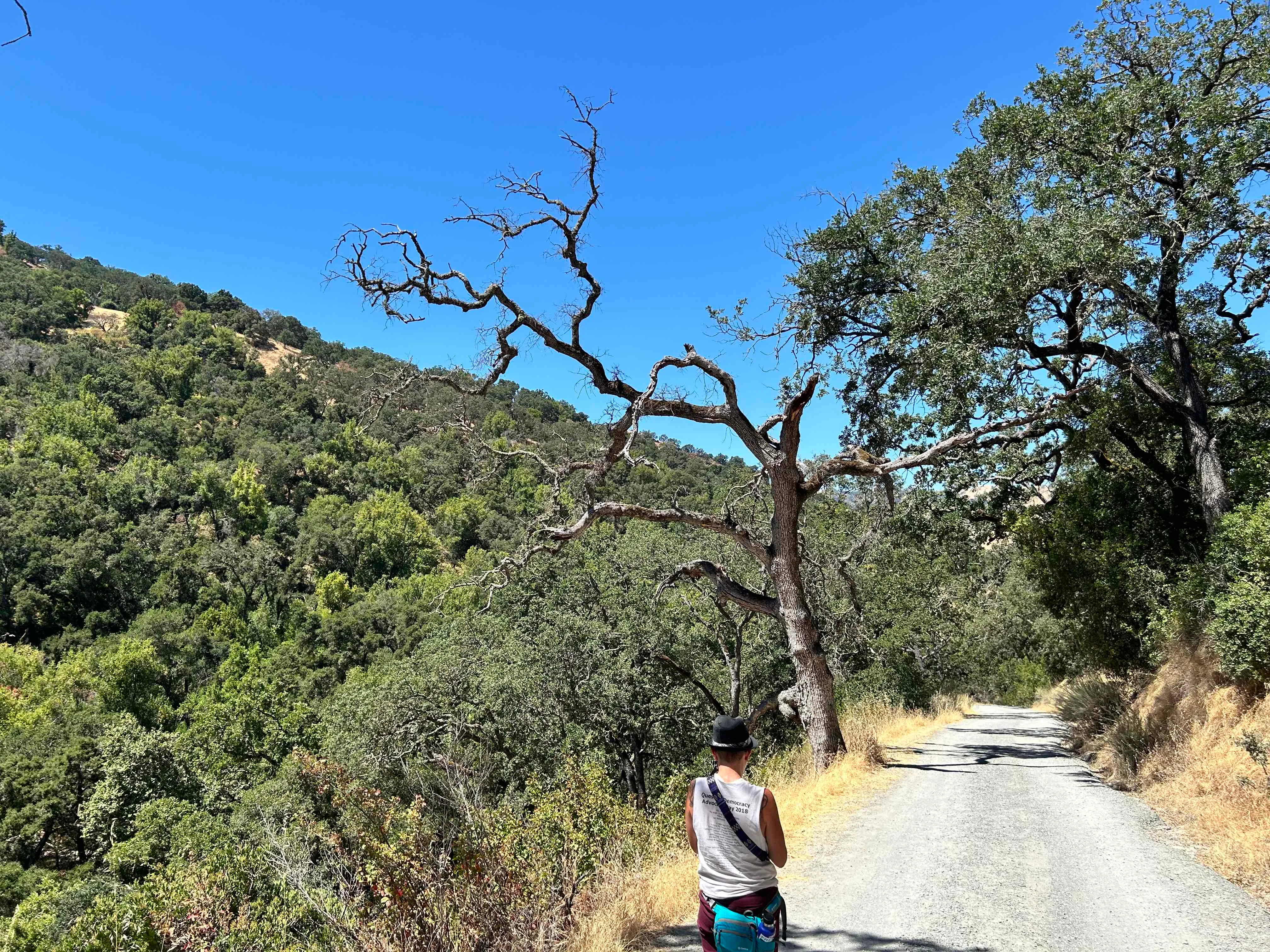 Little Yosemite via Ohlone Road
