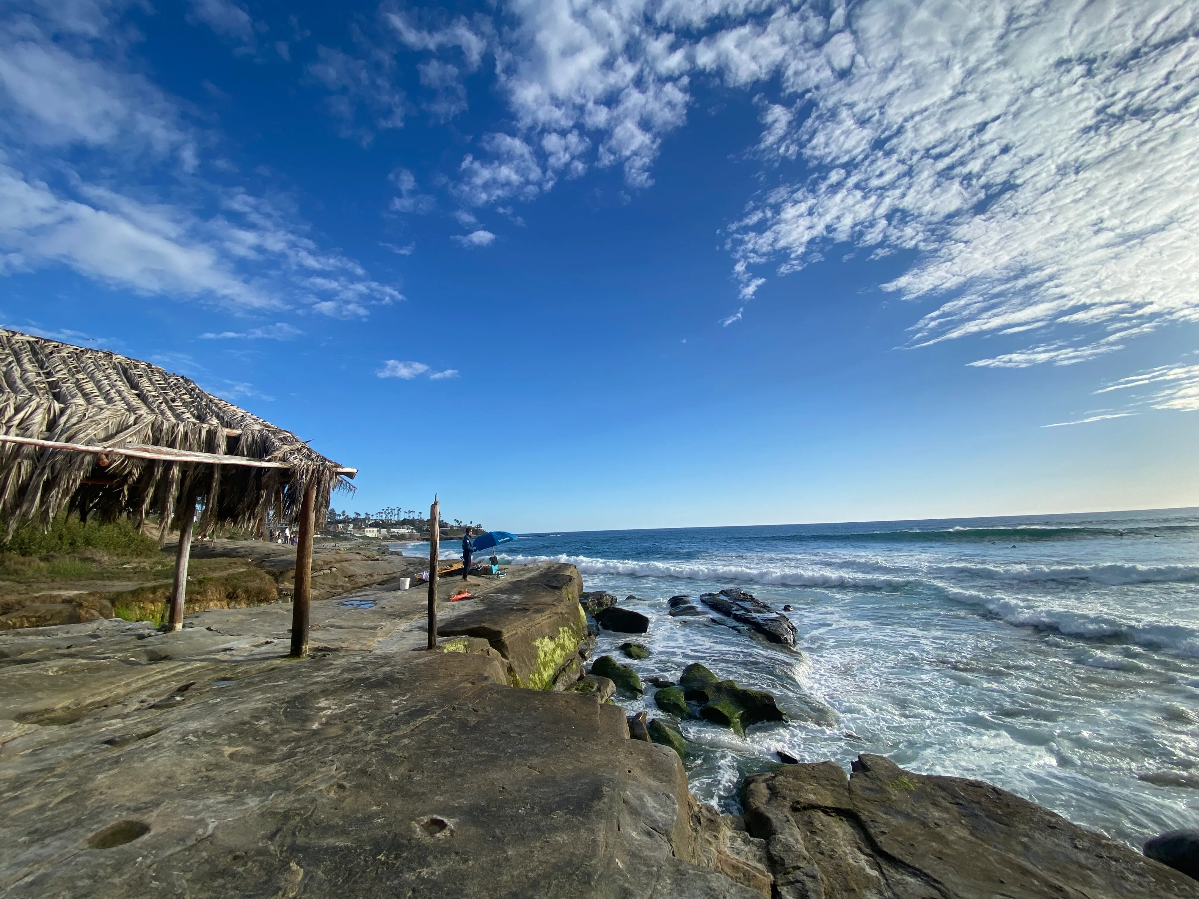 Windansea Beach 