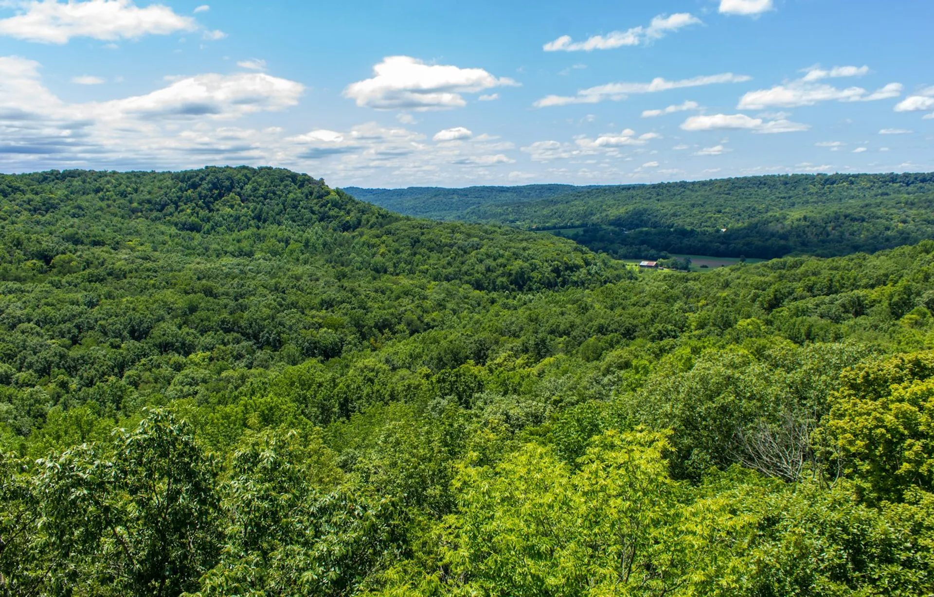 Buzzard Roost Trail