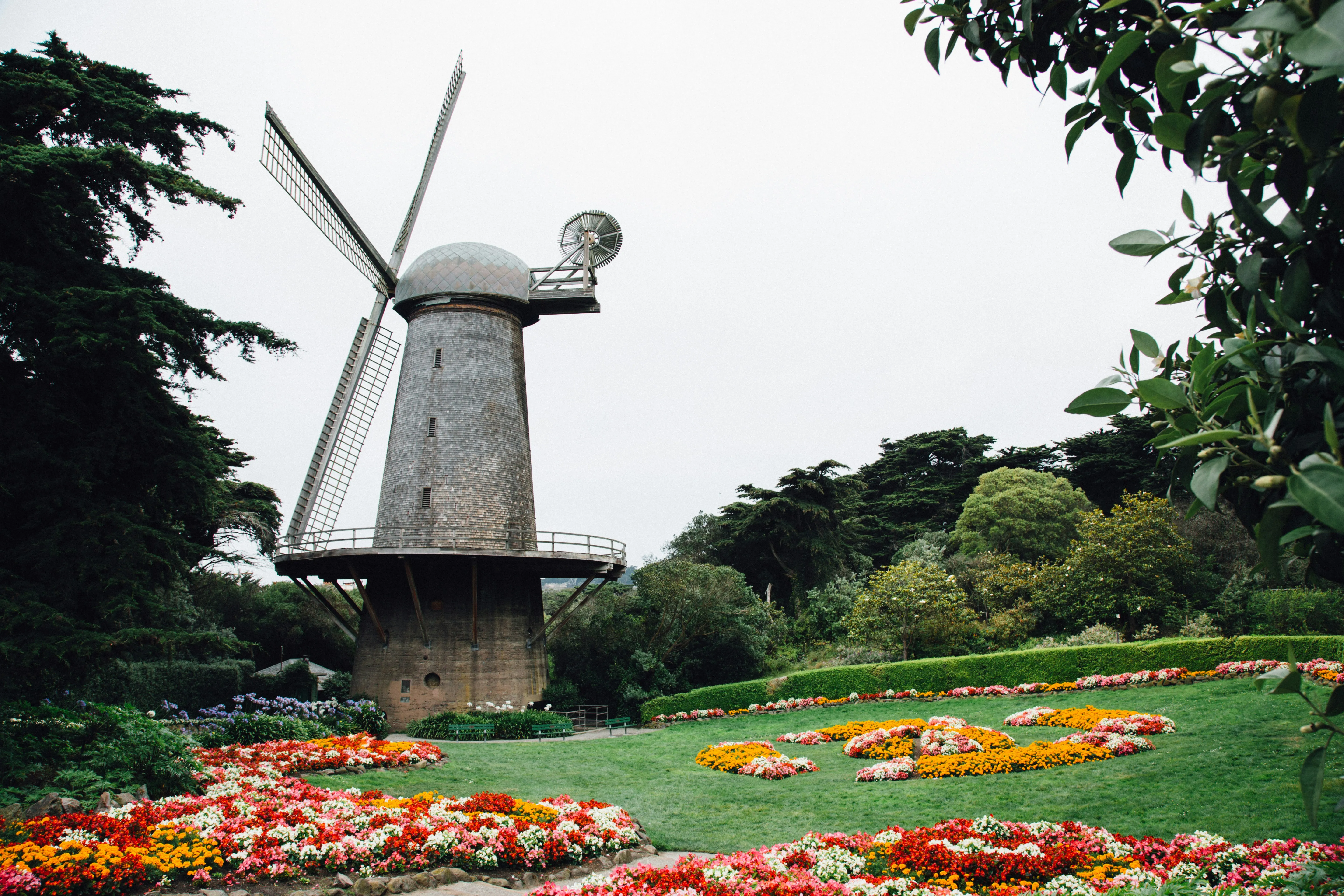 Golden Gate Park Loop