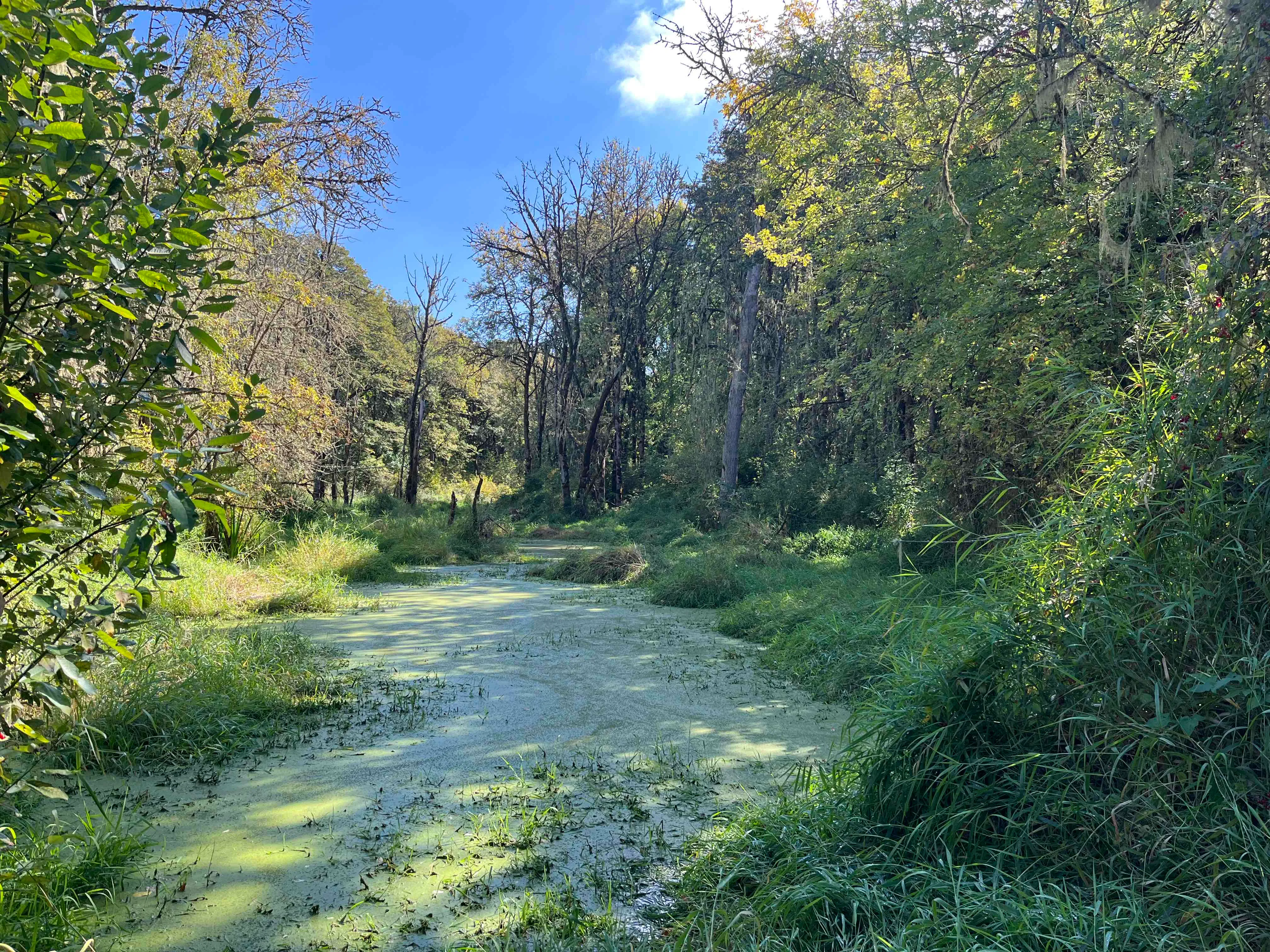 Oak Creek Greenbelt Trail