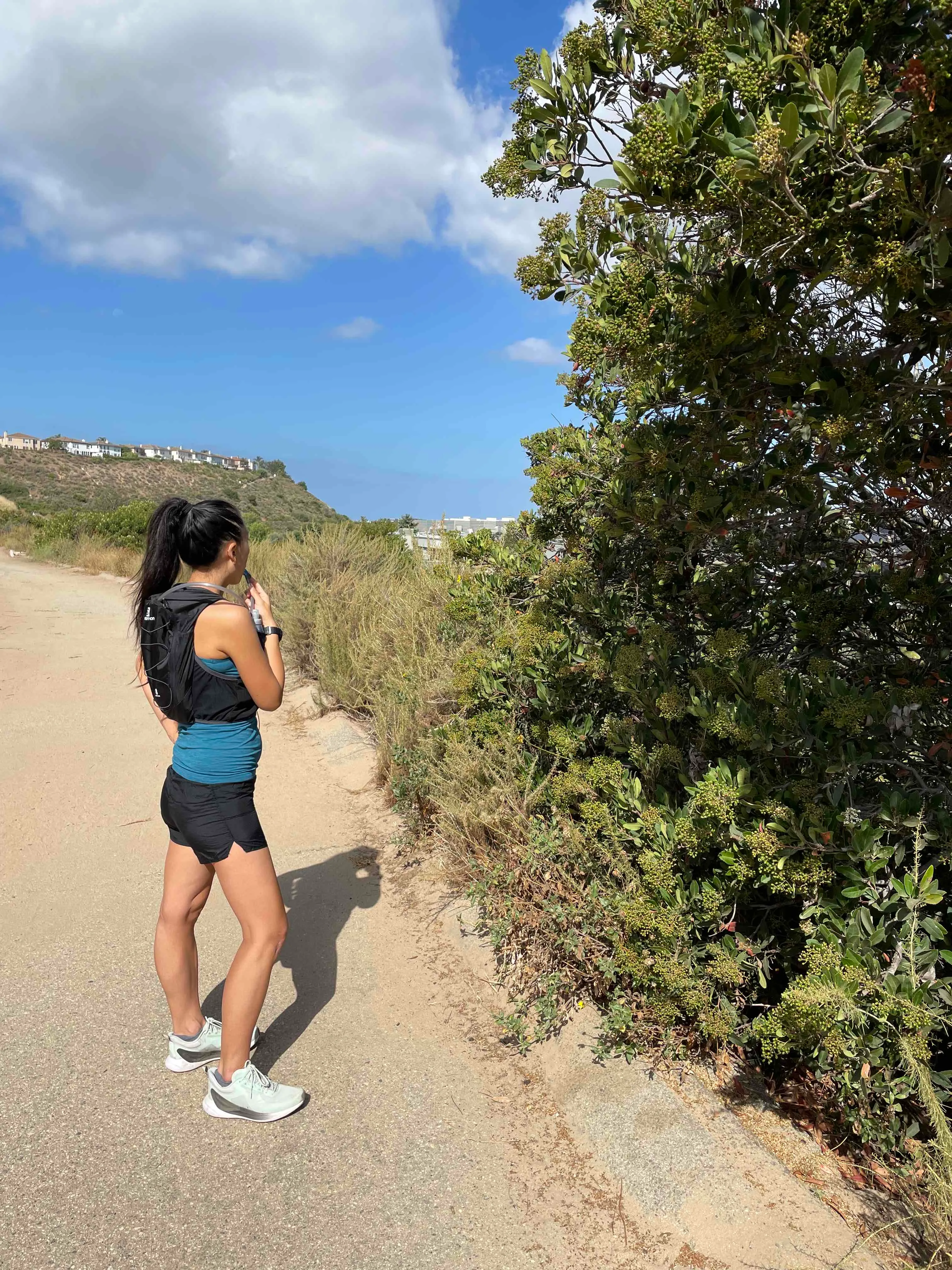 Bluffs Creek Trail