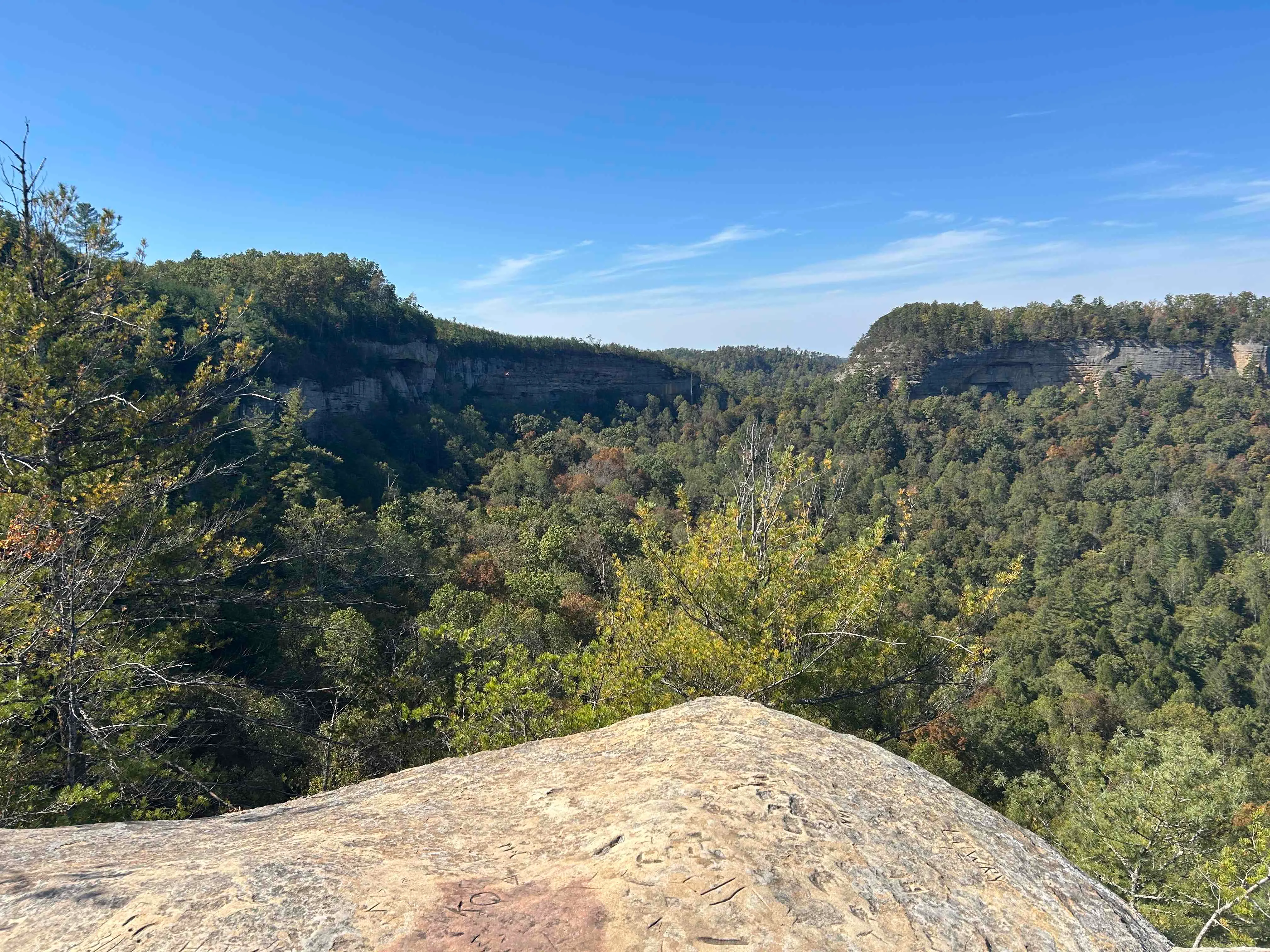 Rough Trail to Hanson's Point