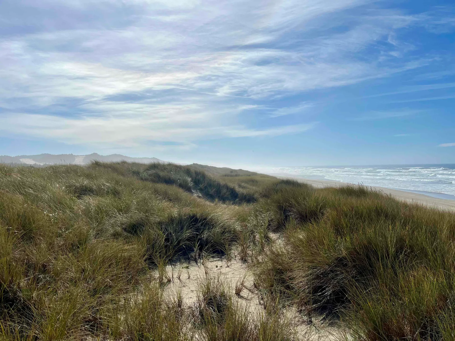 Oregon Dunes Loop