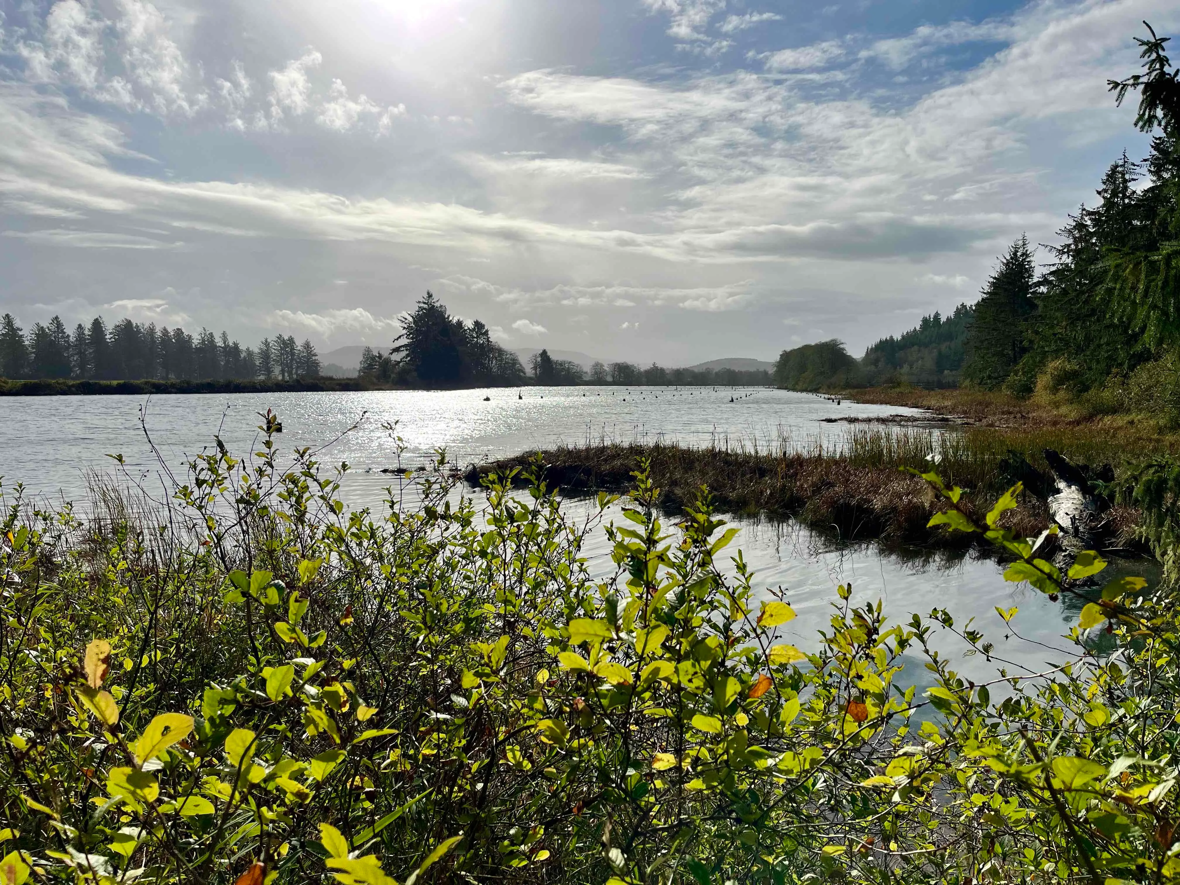 Netul River Trail