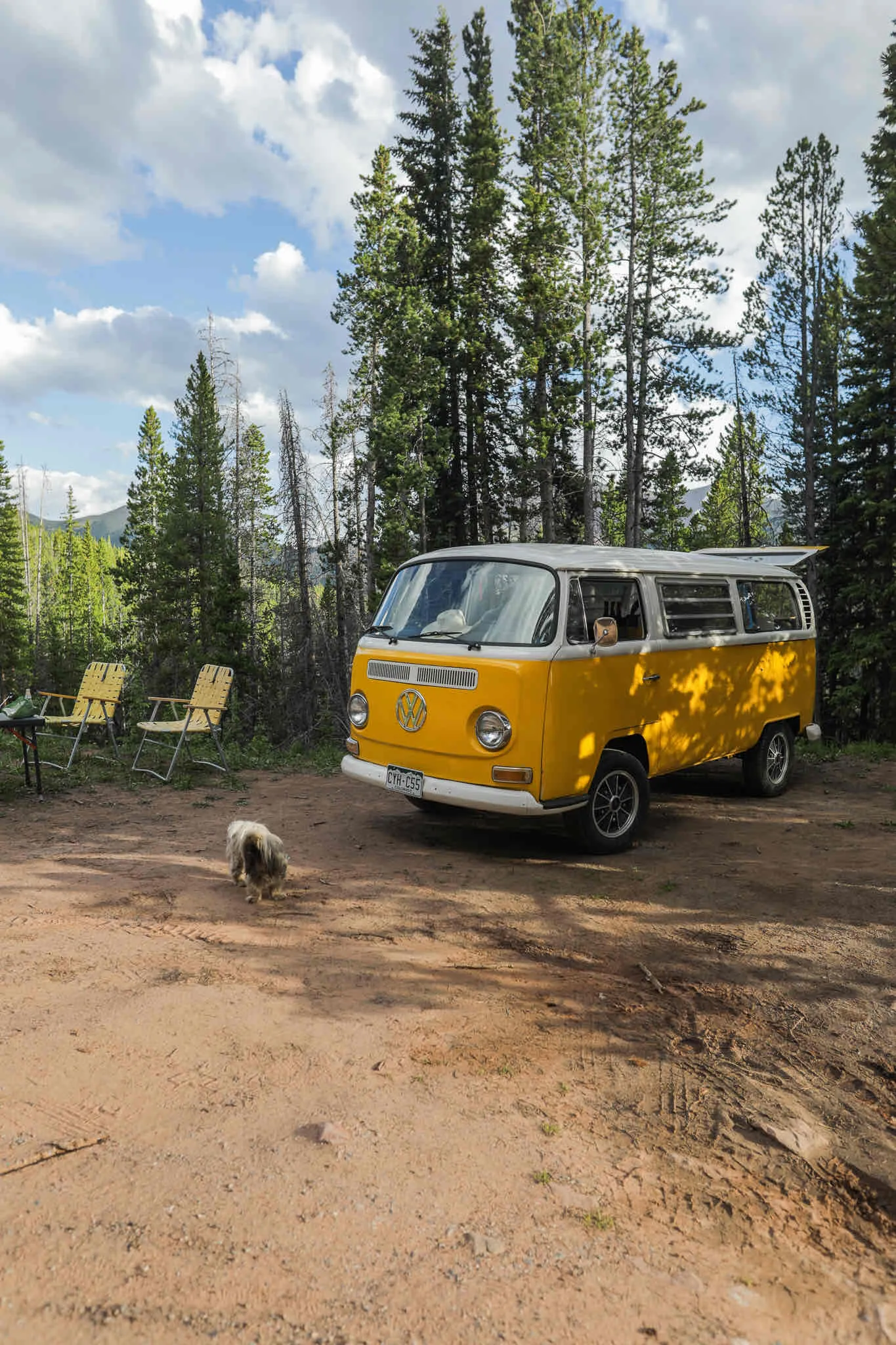 Boreas Pass Road