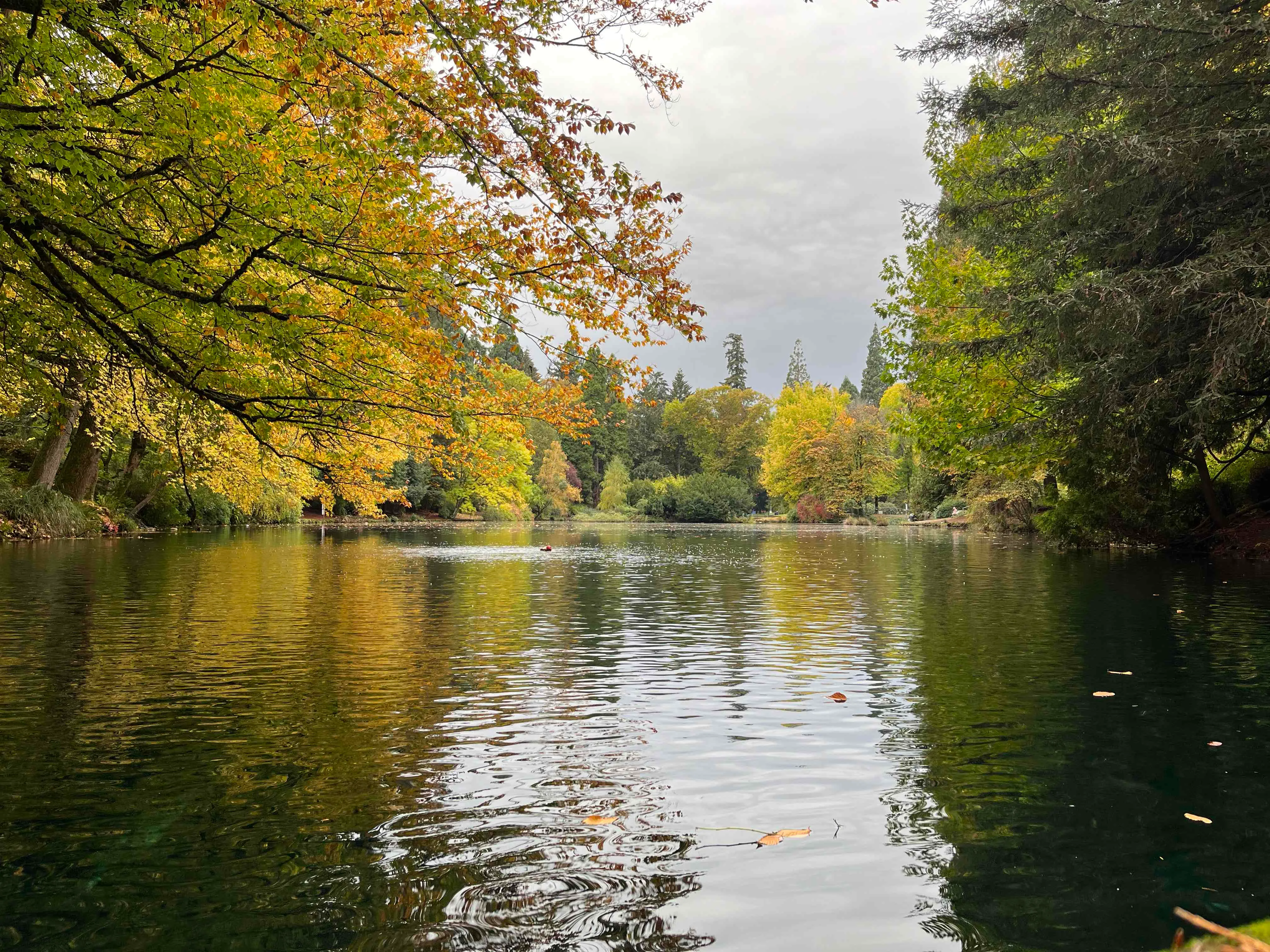 Laurelhurst Park Loop
