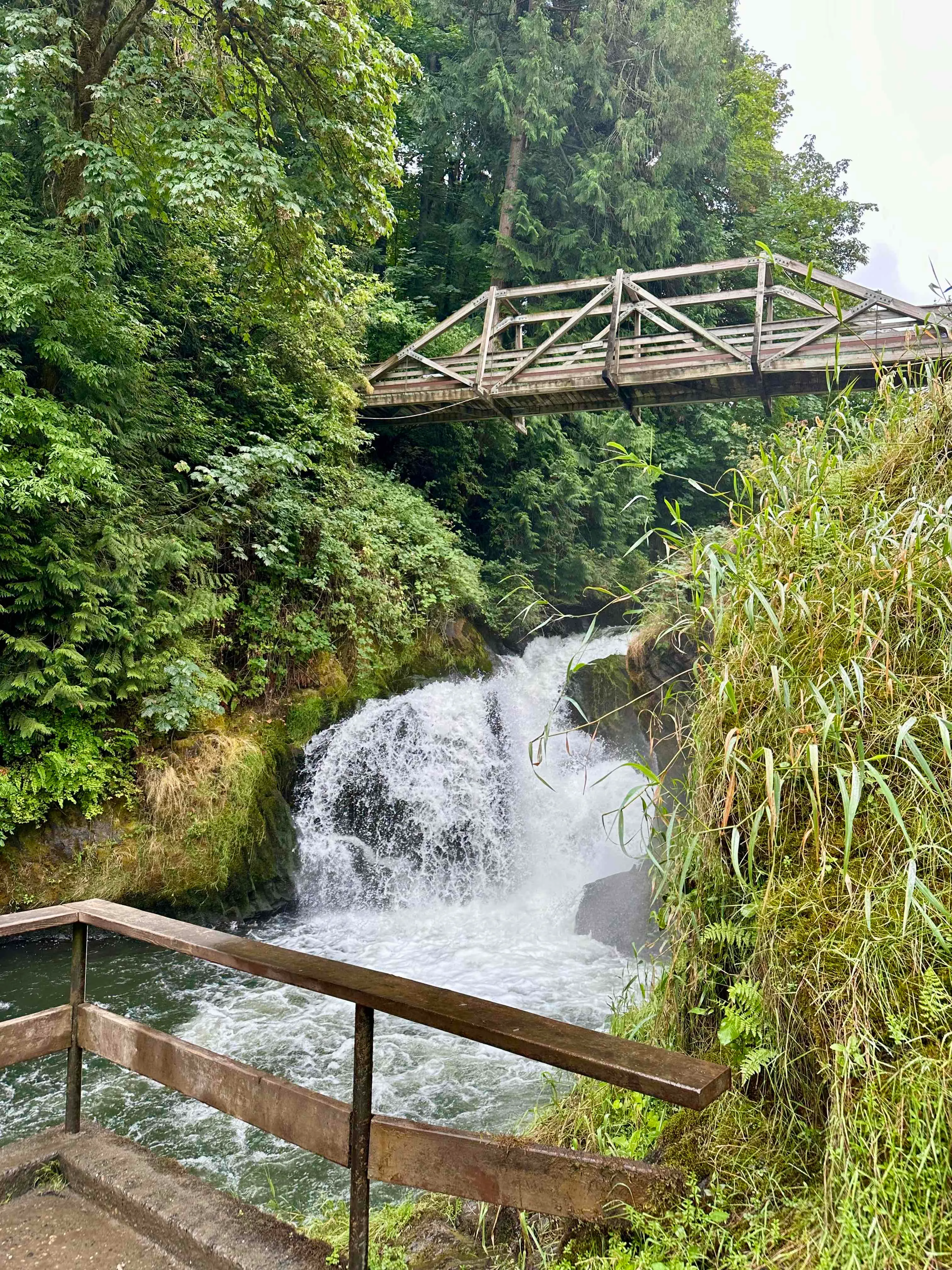 Tumwater Falls Trail