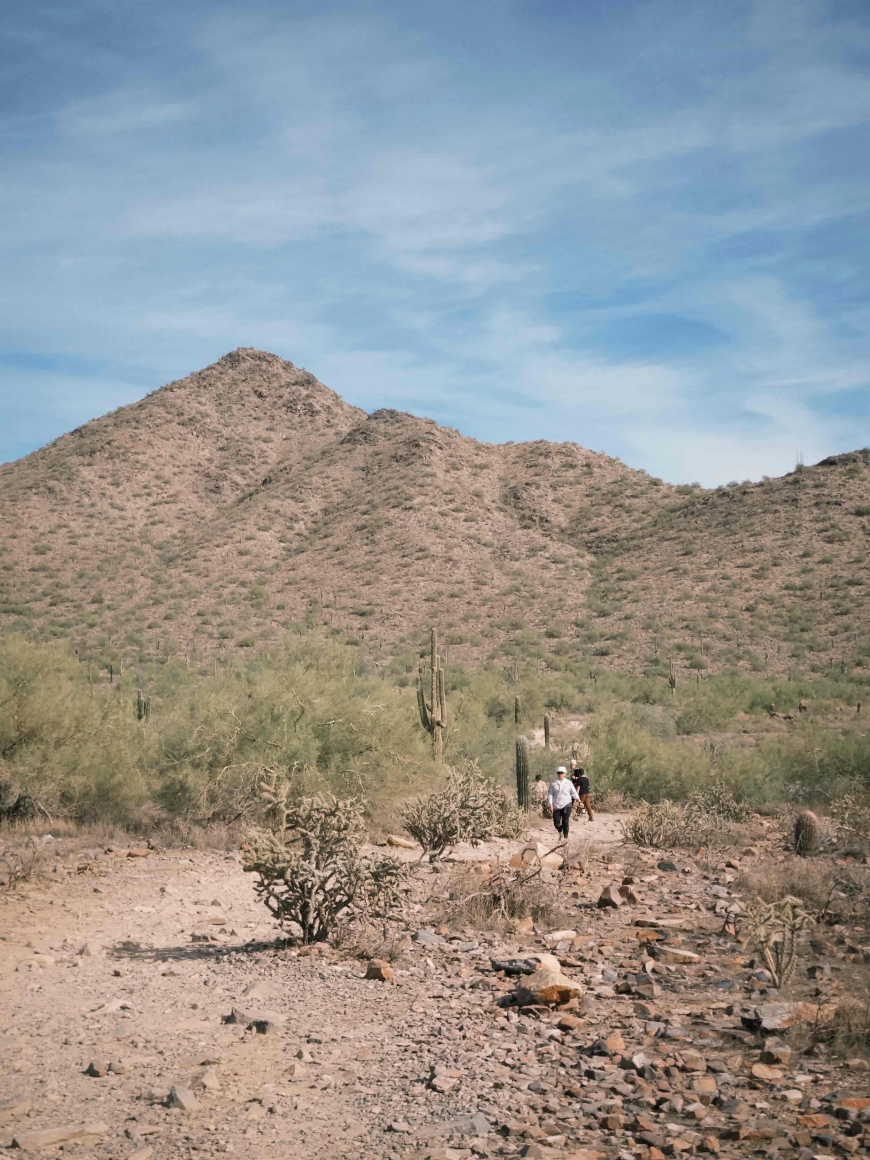 Saguaro Loop and Nature Trail