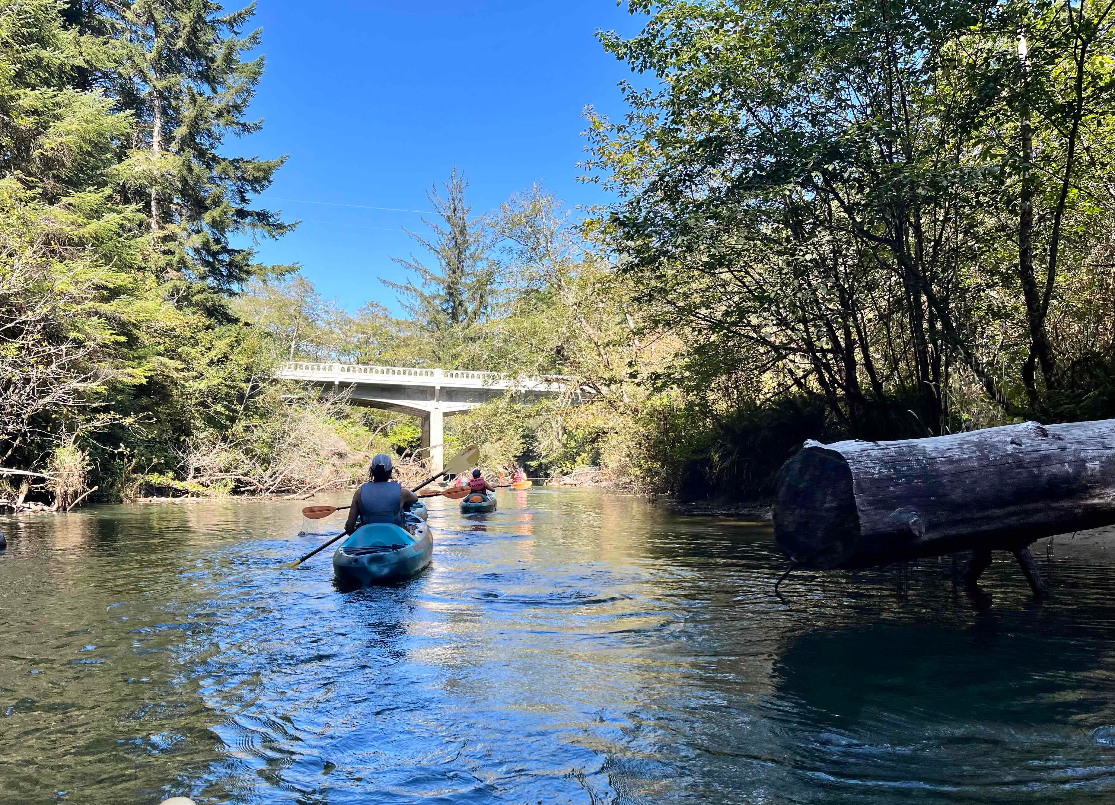 Siltcoos River Trail