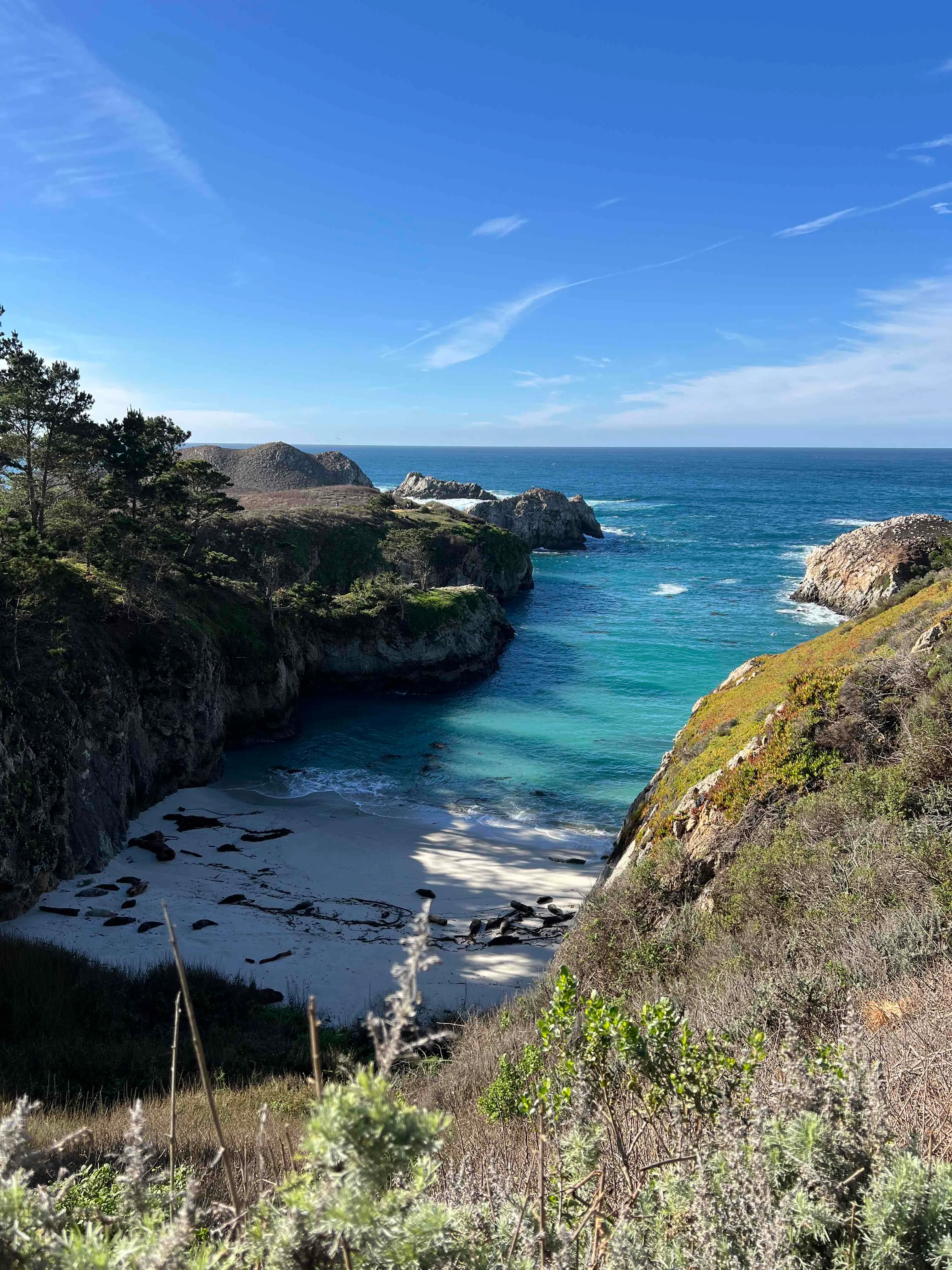 Bird Island Trail