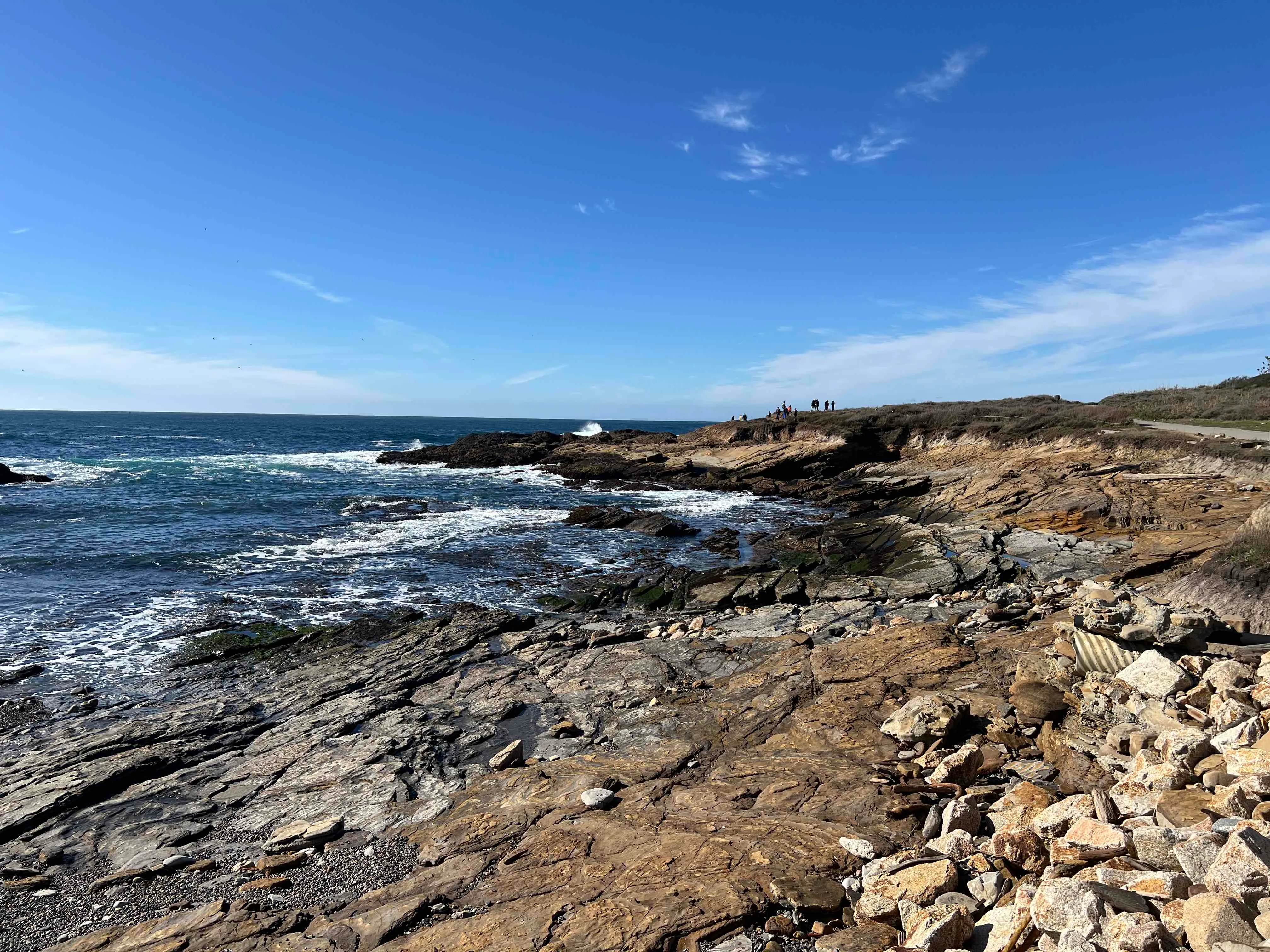Point Lobos South Shore Trail