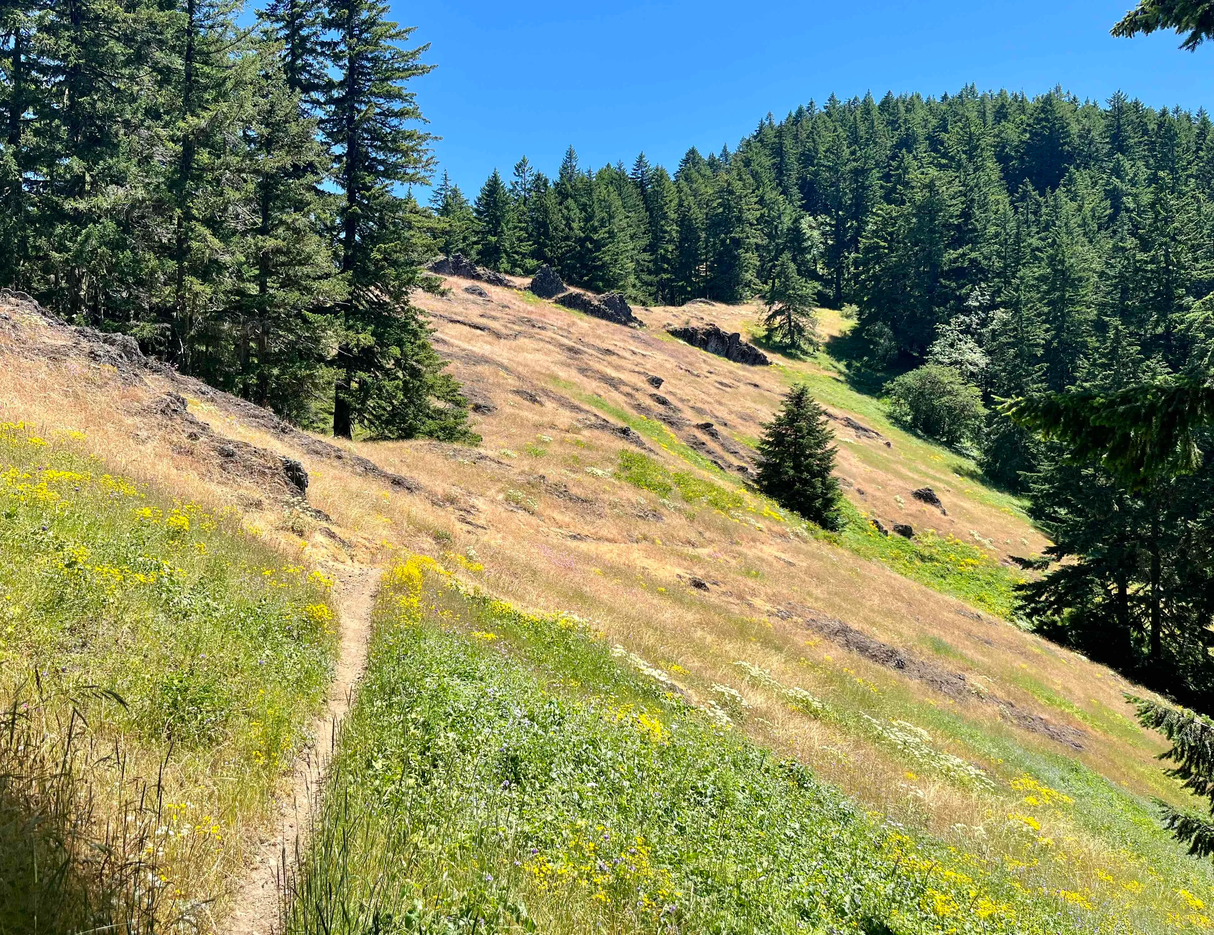 Tire Mountain Trail
