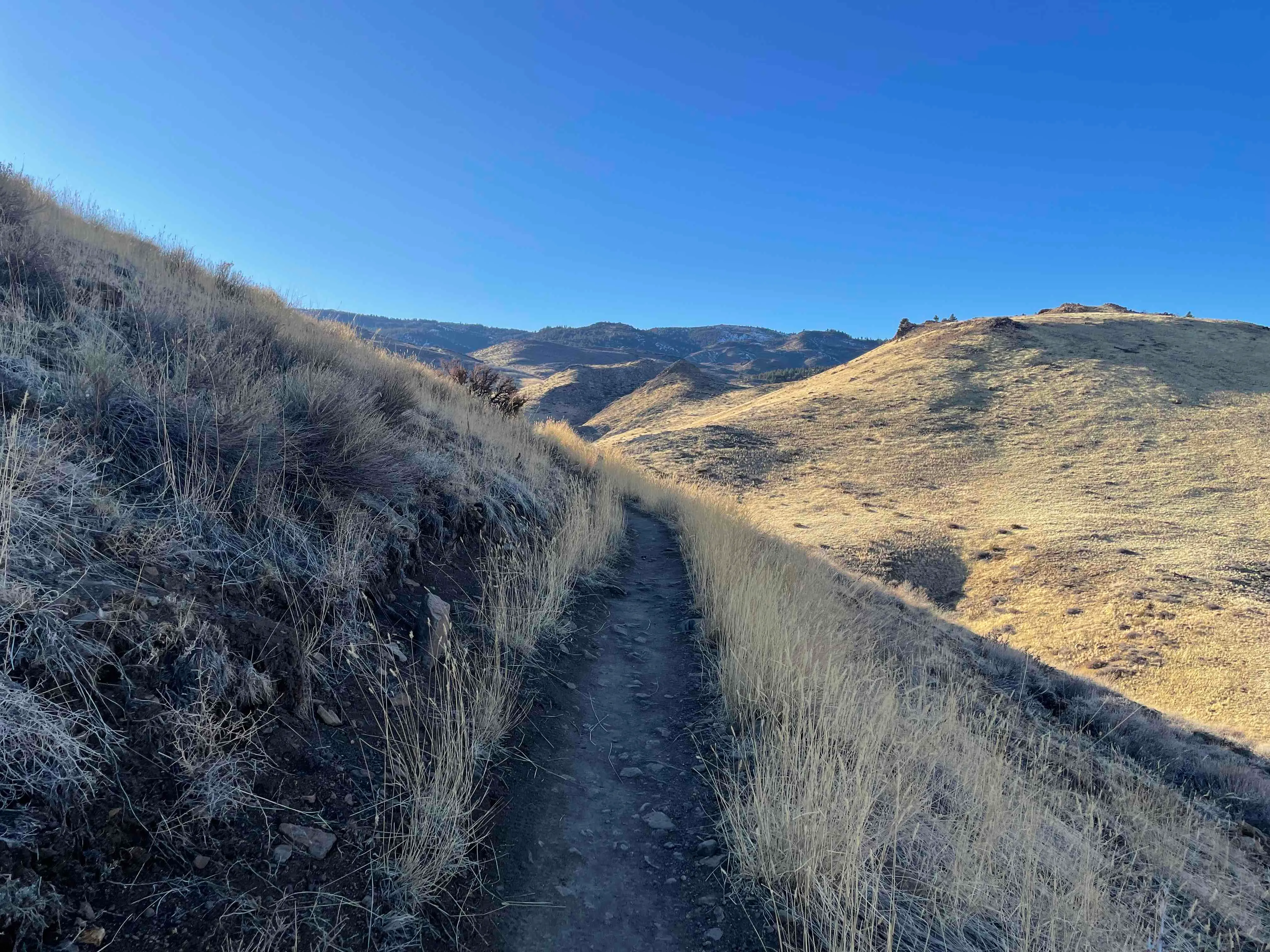 Ballardini Ranch Trail