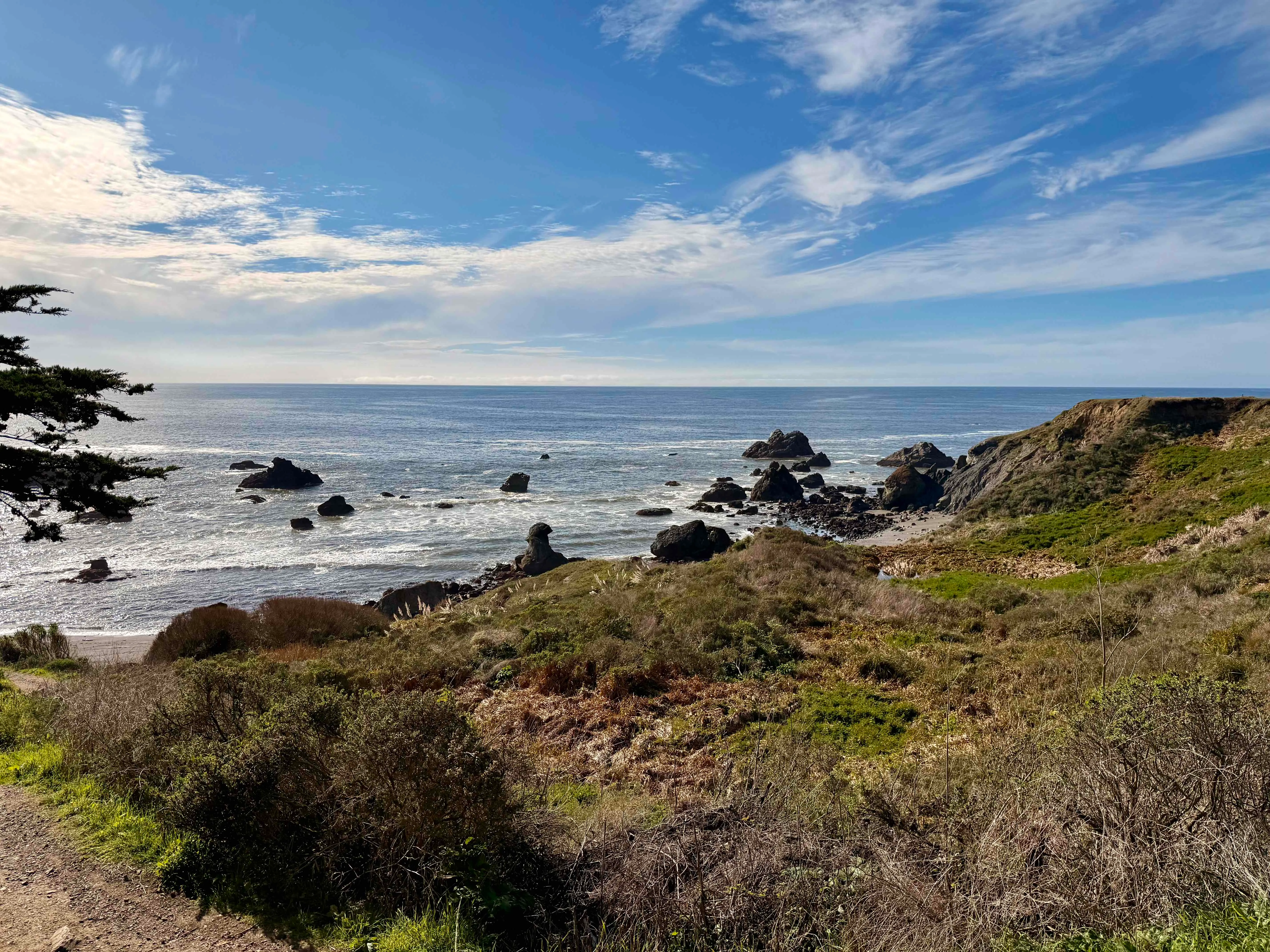 Shell Beach