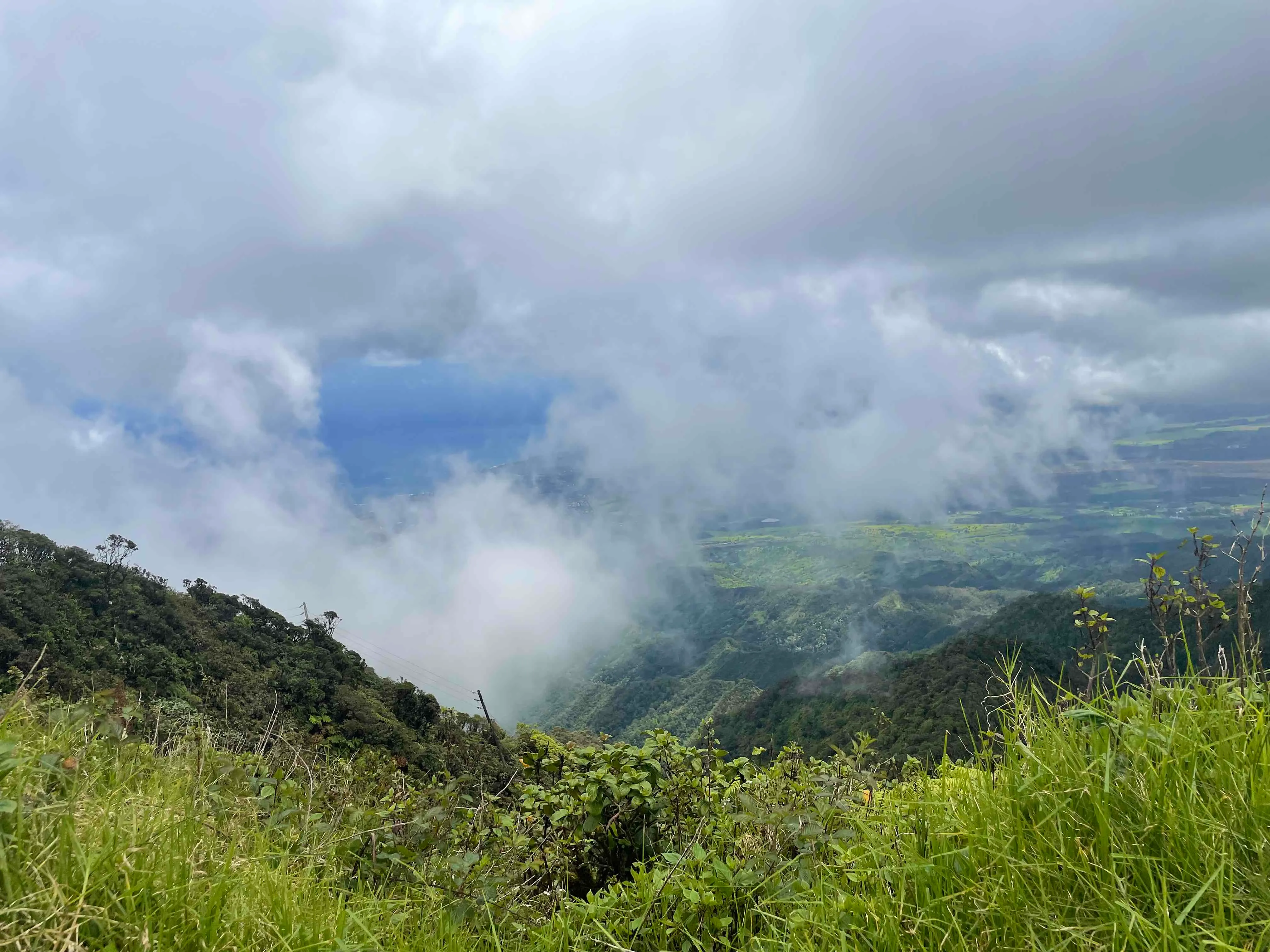 Mount Ka’ala Trail 