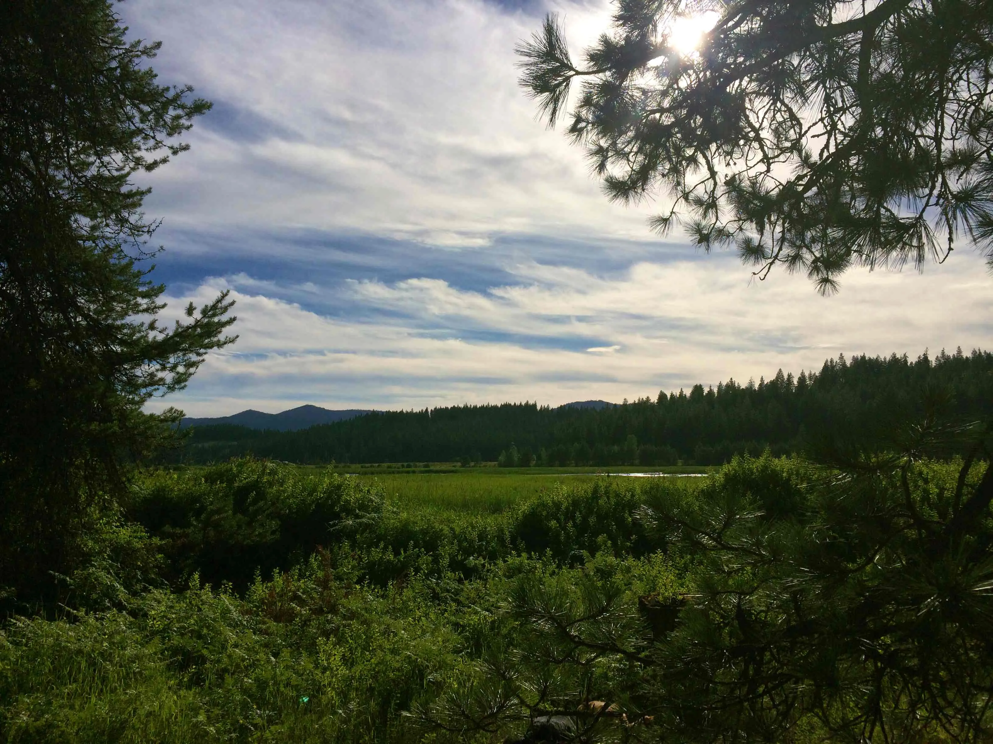 John Pointner Memorial Wildlife Sanctuary Trail