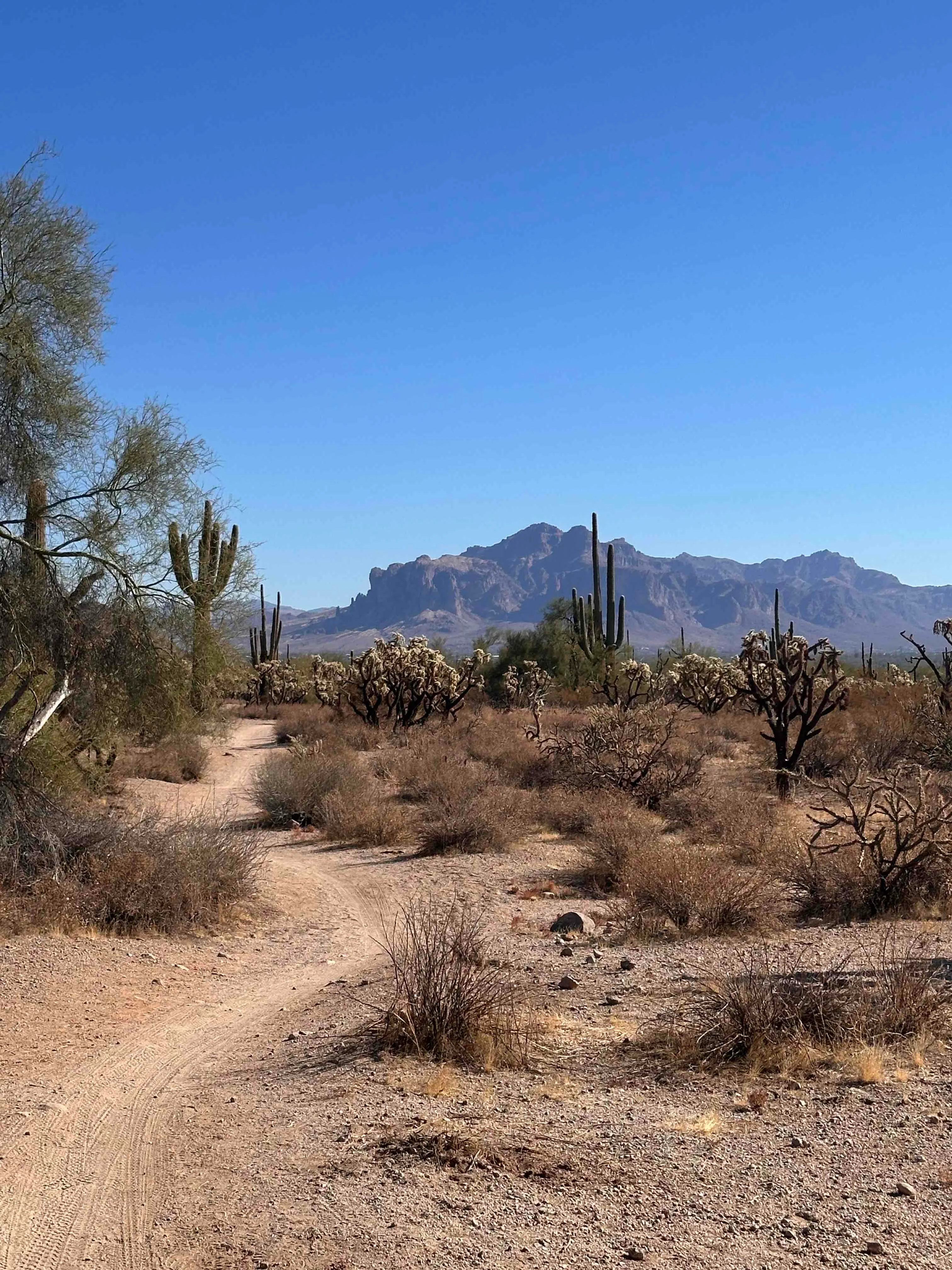 Usery Mountain