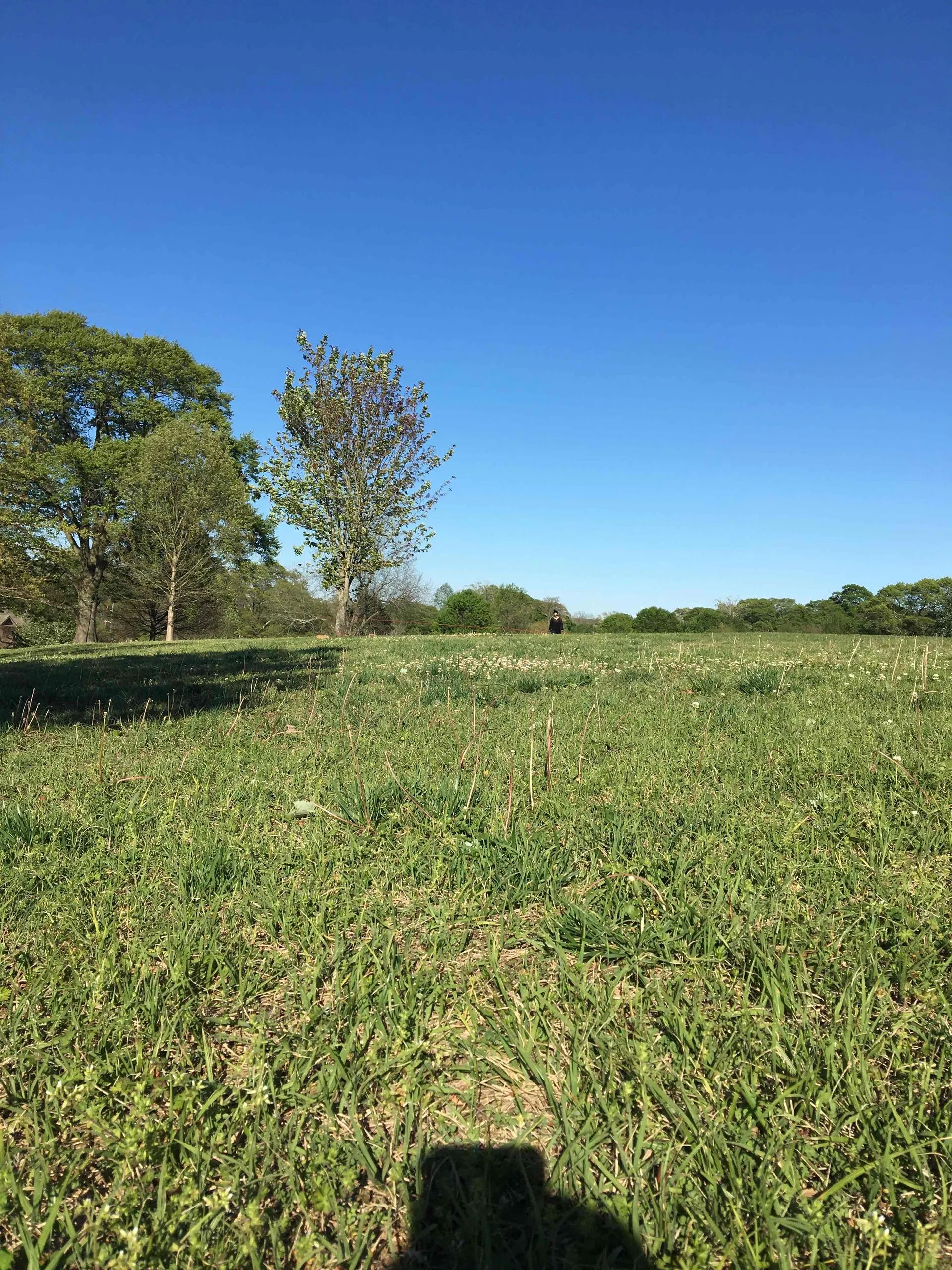 Carter Center, Freedom Park, Olmsted Linear Parks