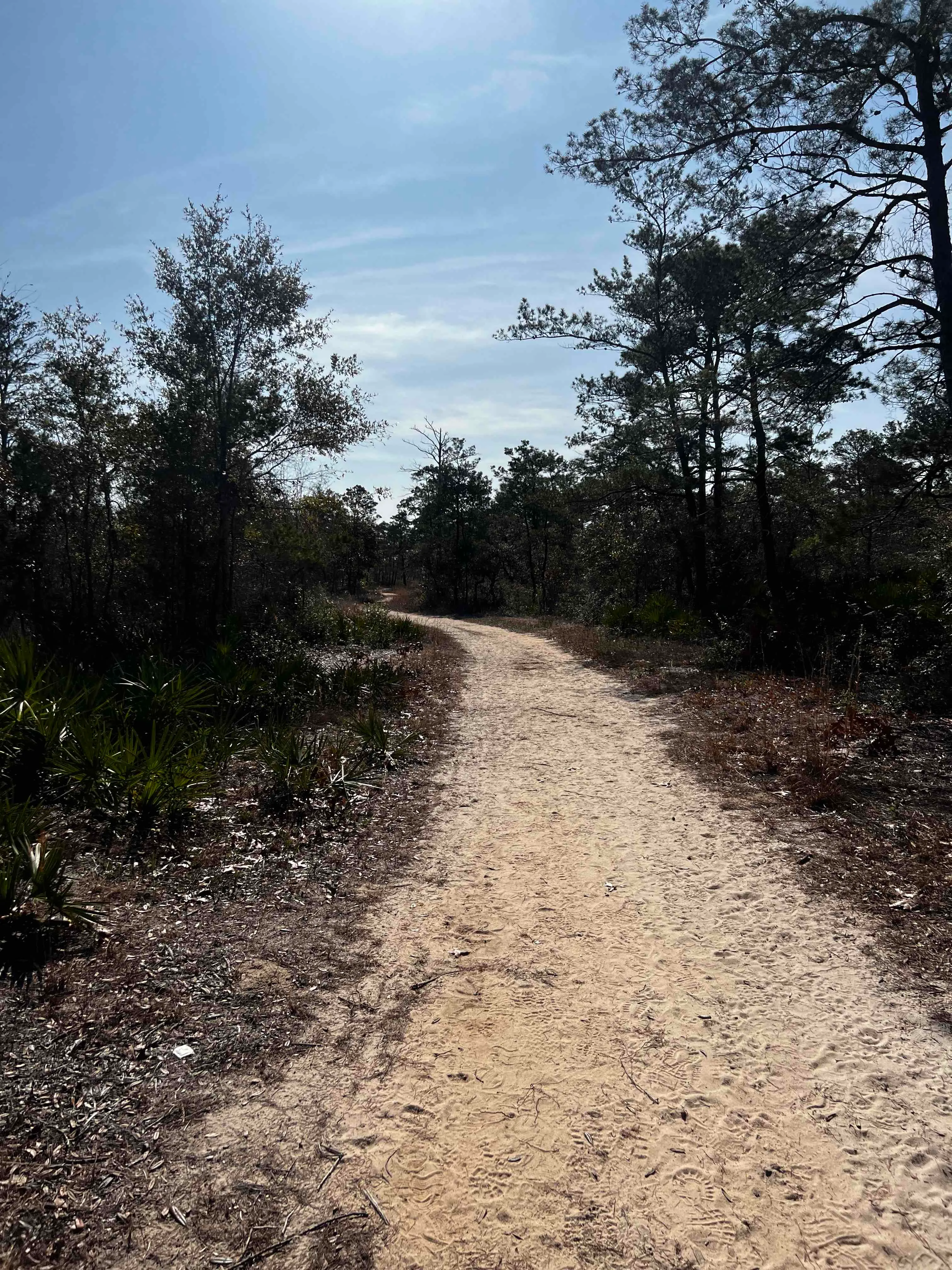 Naval Live Oaks Trail