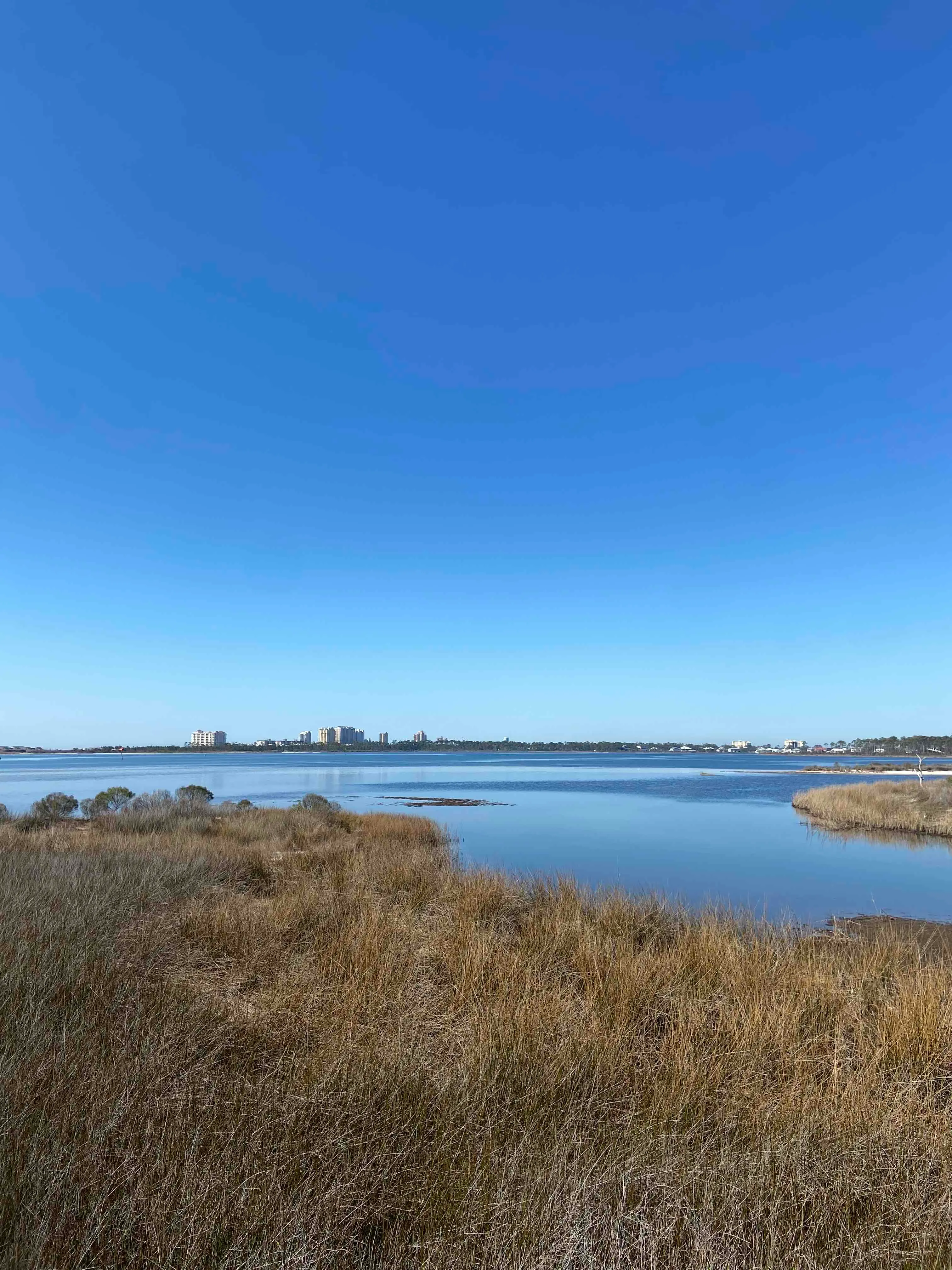 Sand Pine Loop and Big Lagoon Observation Tower