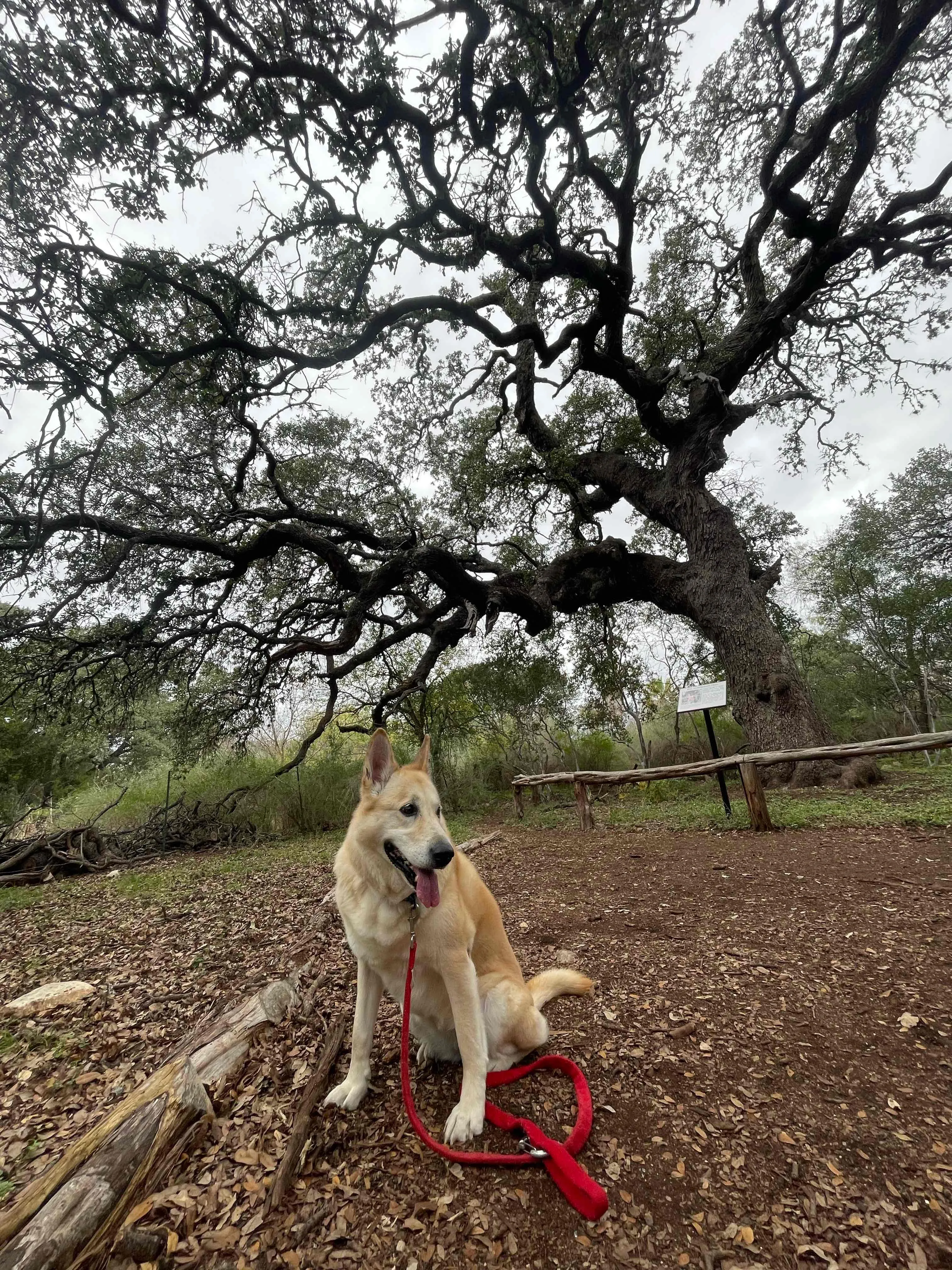 Walker Ranch Loop Trail