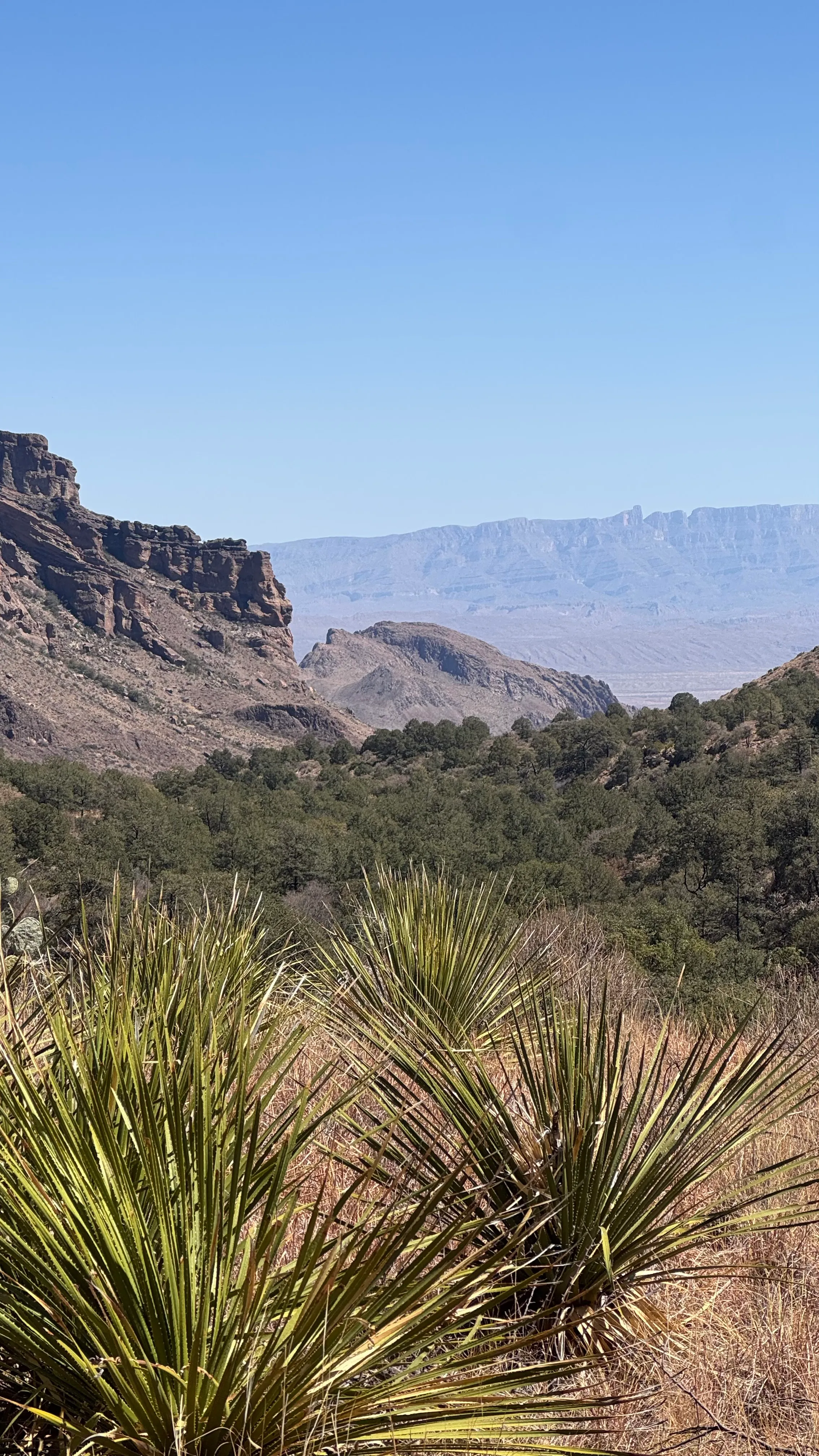 Pine Canyon Trail