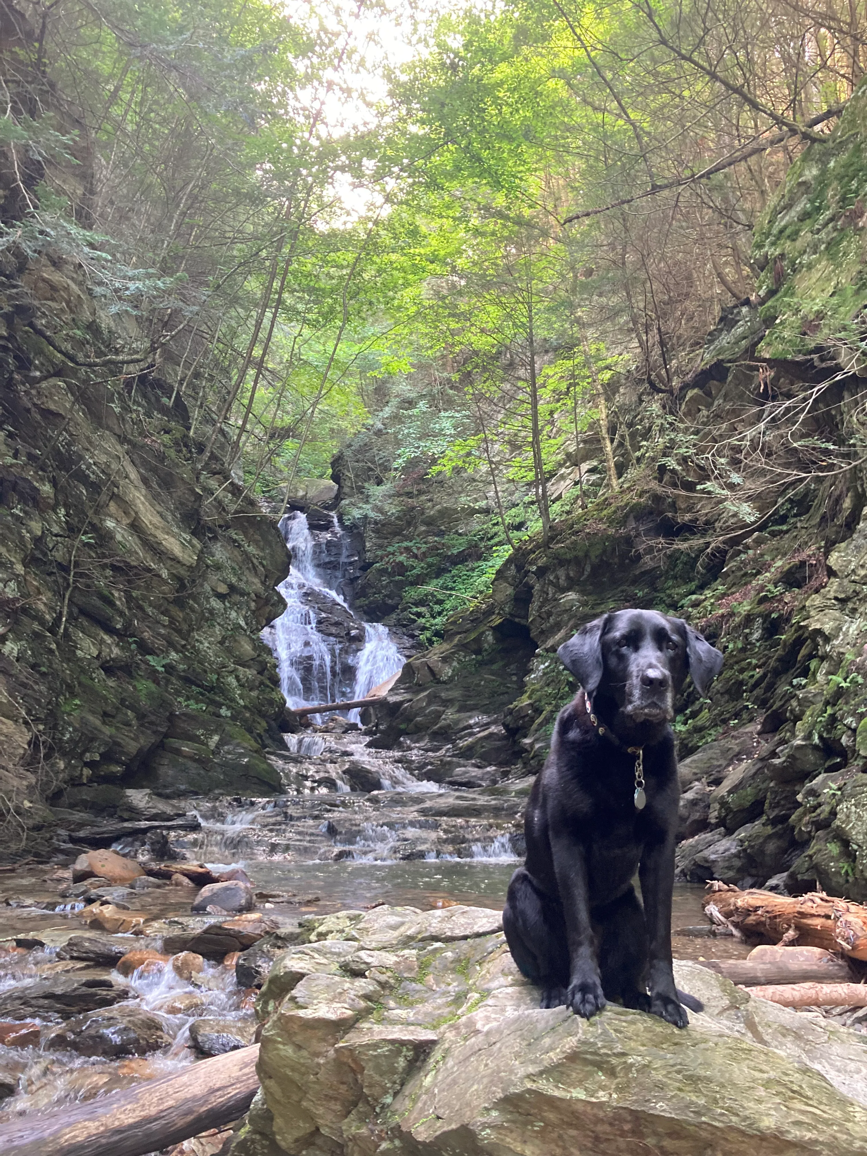 The Cascades Trail
