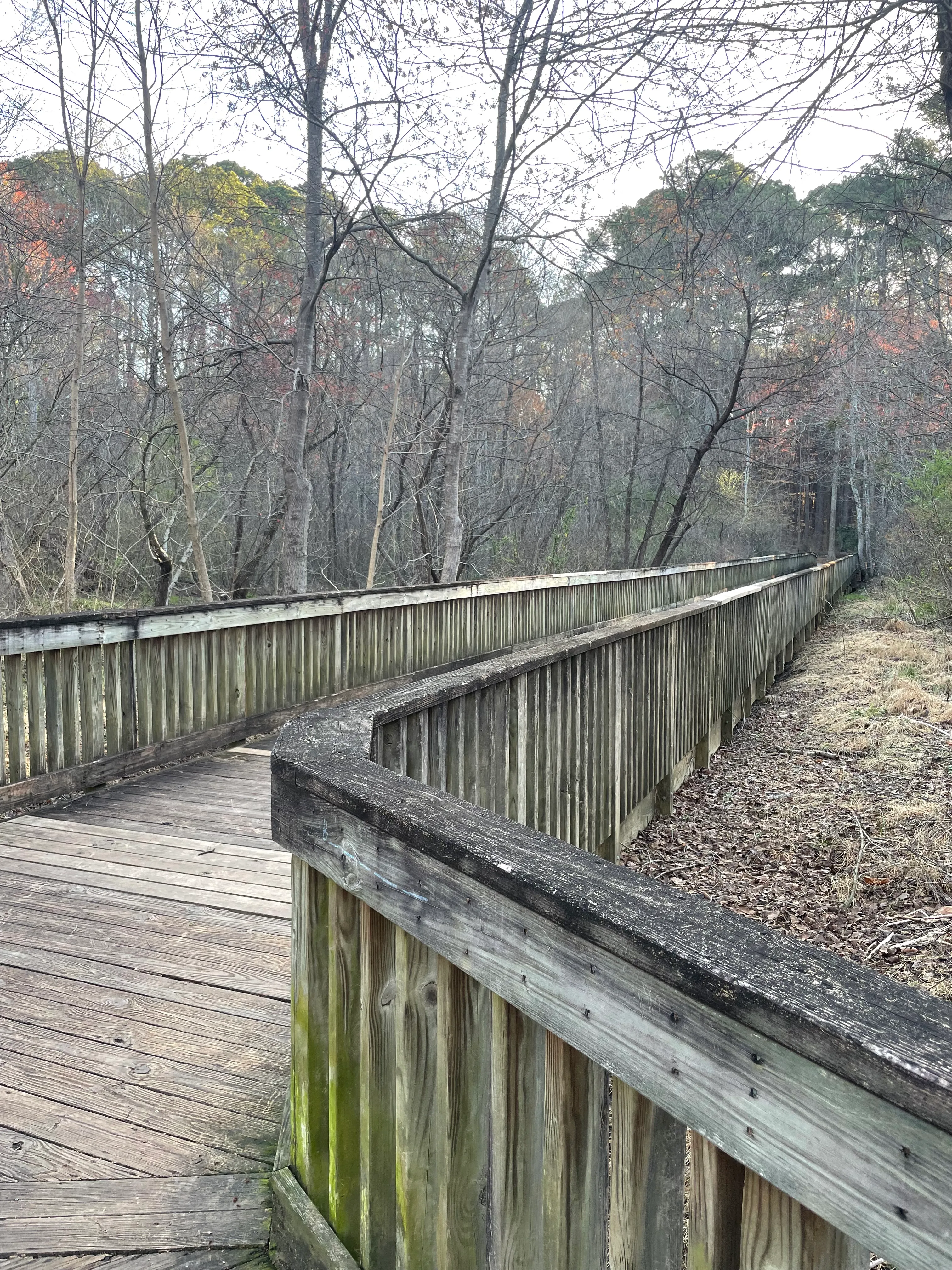 Lake Johnson Trail