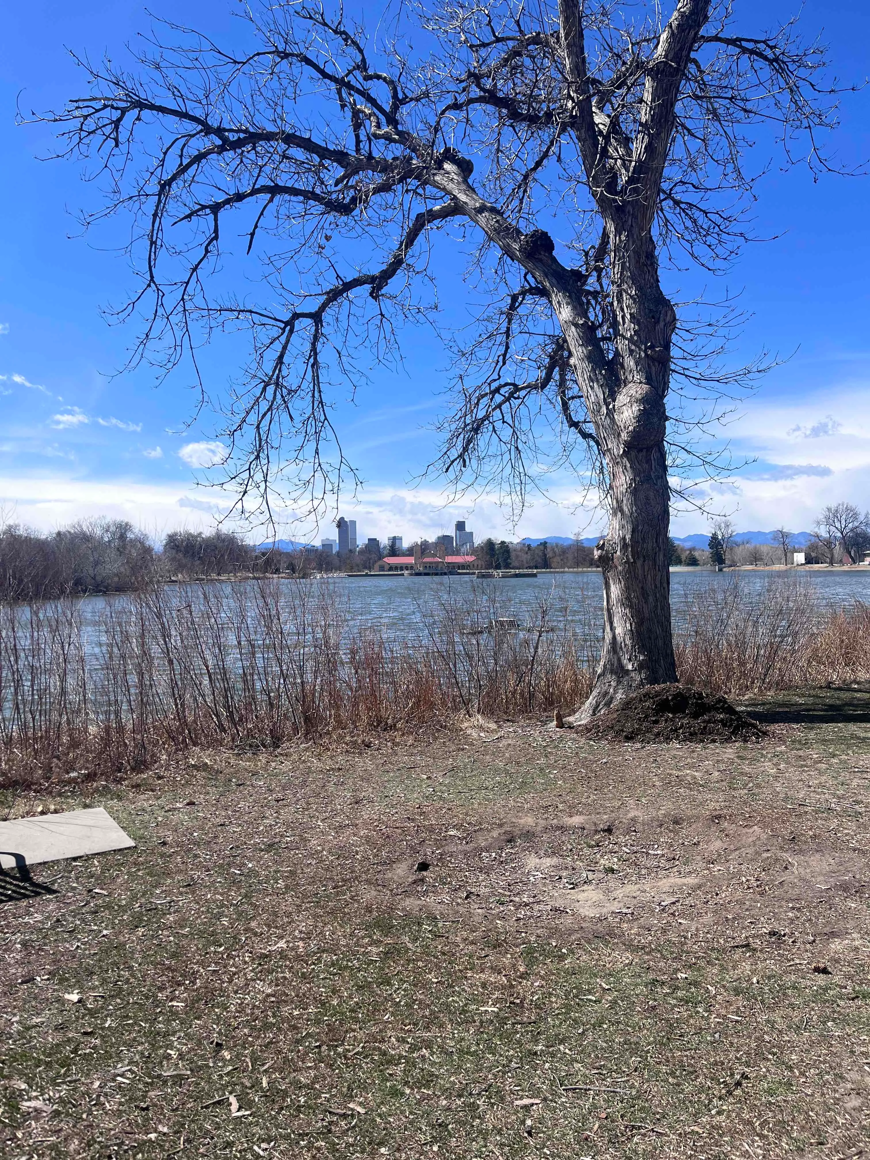 City Park Perimeter Loop