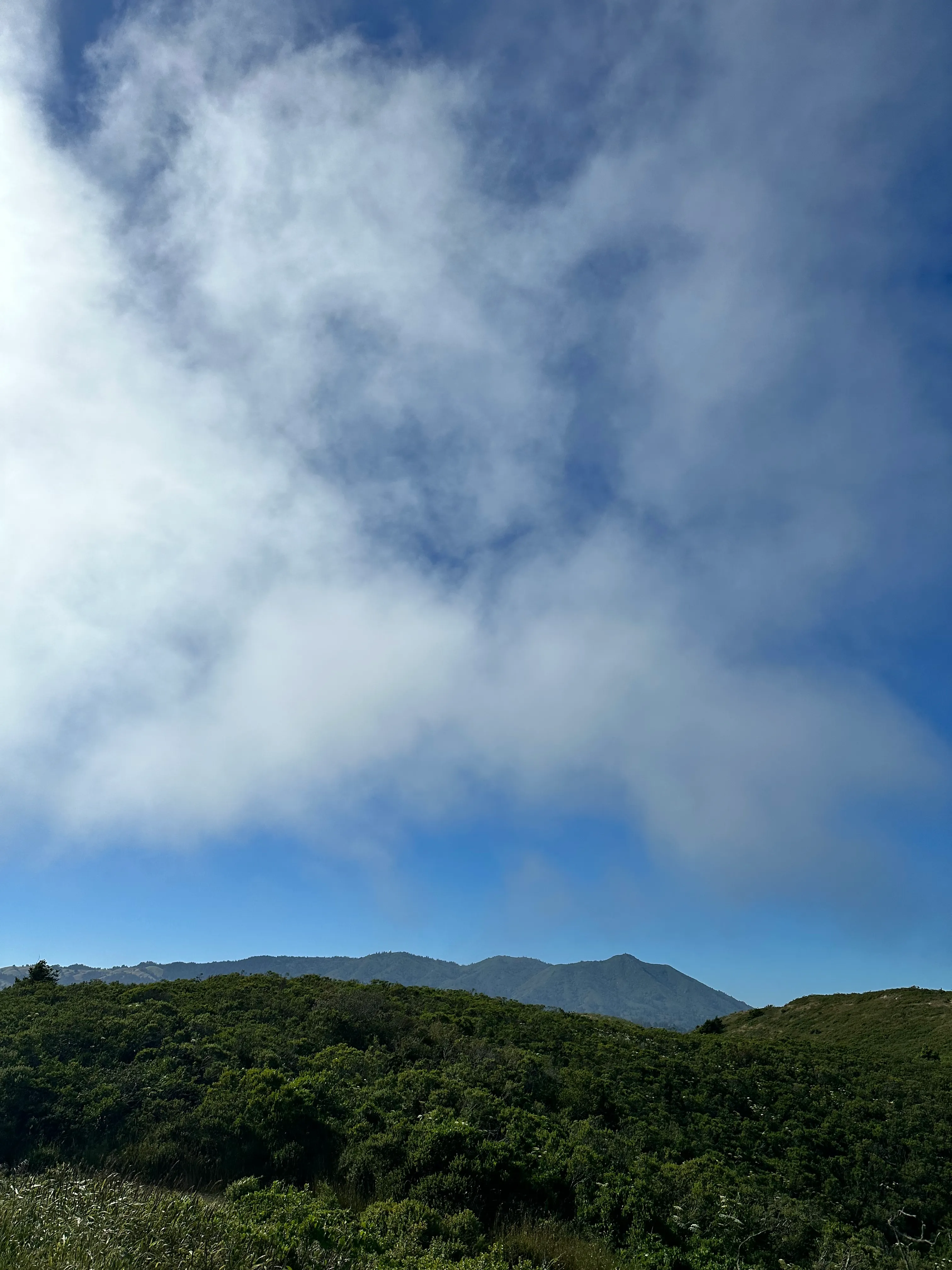 Miwok, Coyote Ridge and Coastal Trail Loop