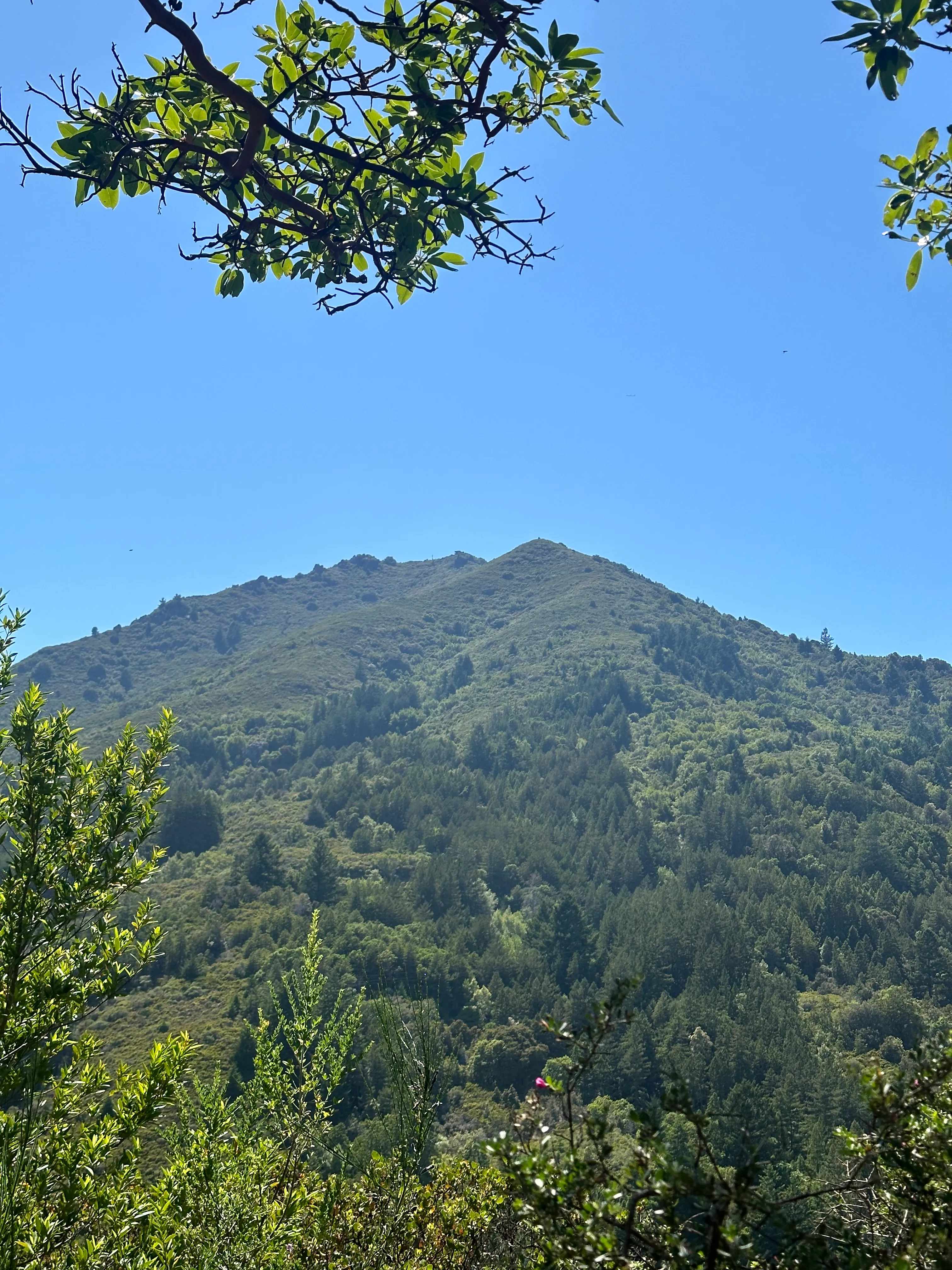 Blithedale Loop
