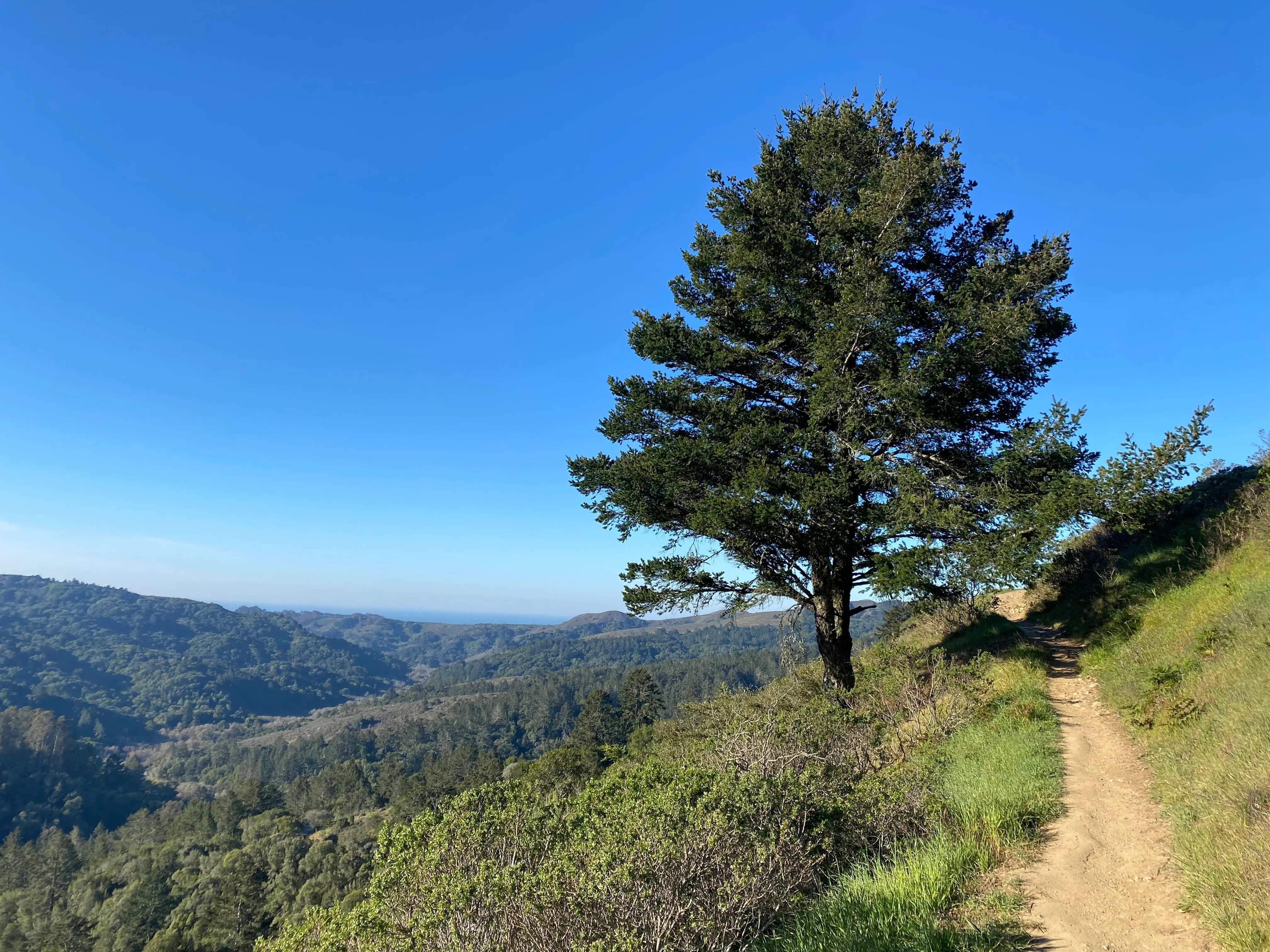 Sun, Redwood, Panorama, Lost and Fern Creek Loop