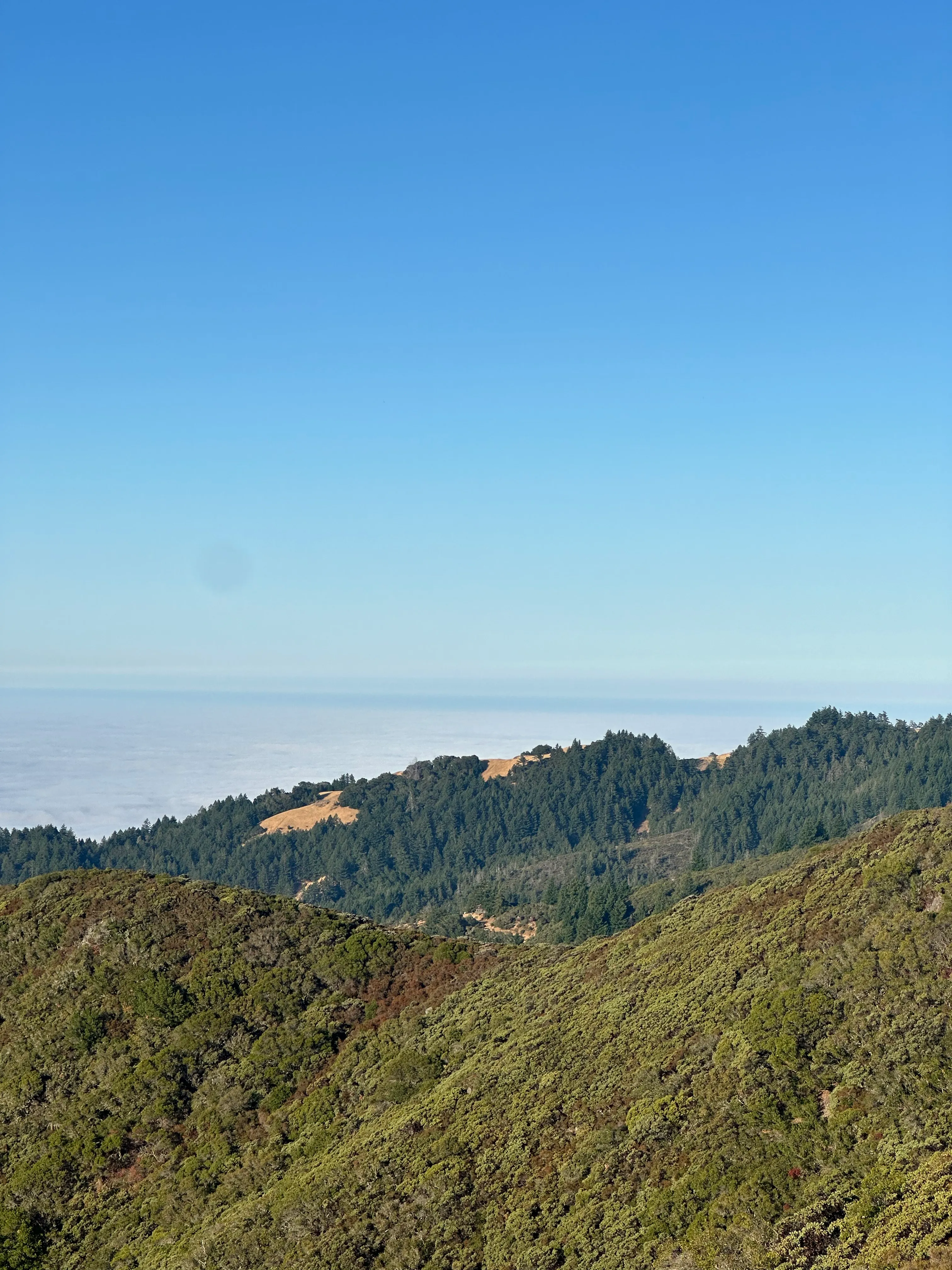 Mountain Home Inn to Mount Tam East Peak