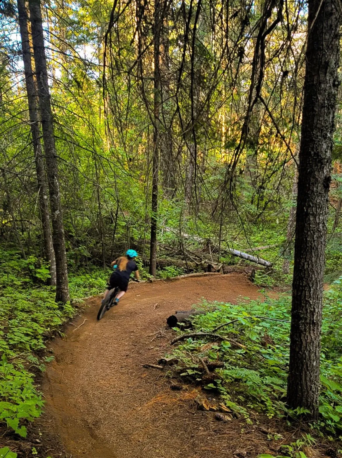 Trail 257