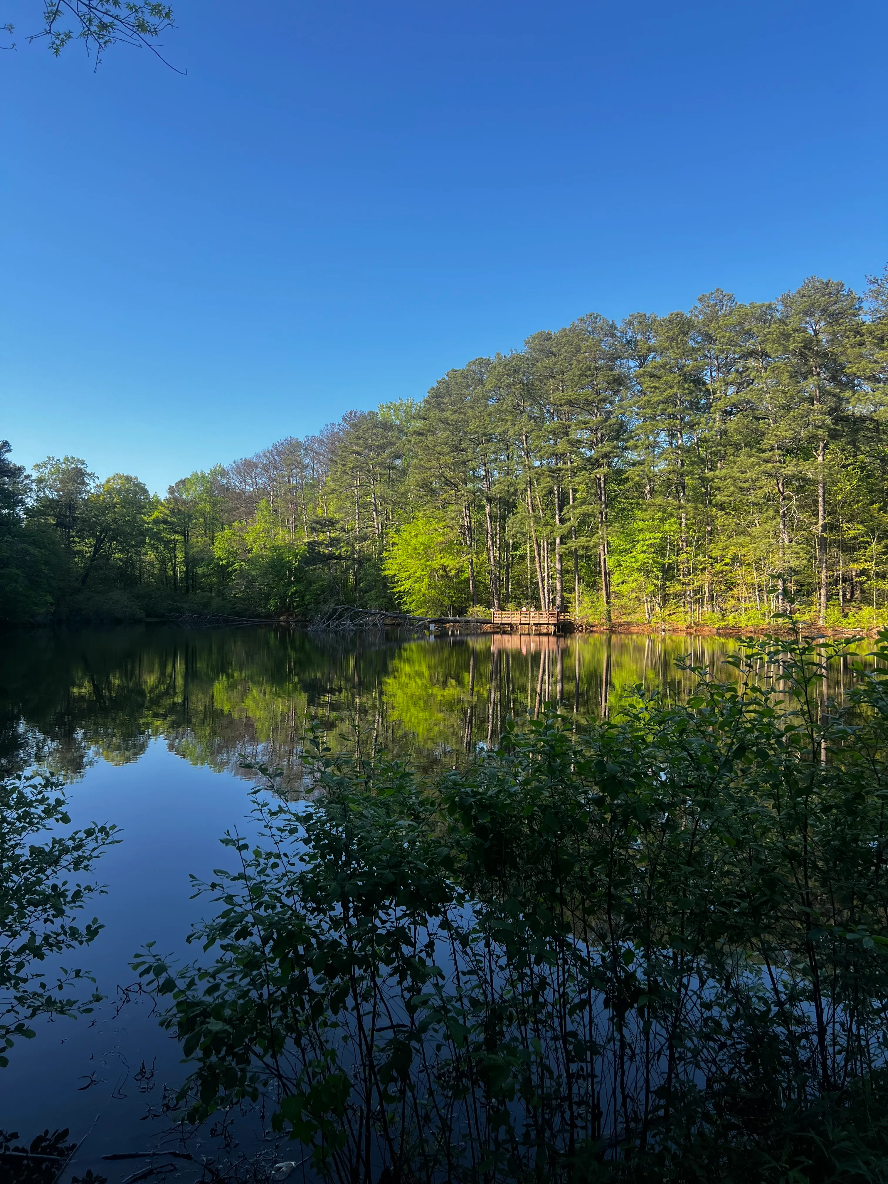 Reynolds Nature Preserve Trail