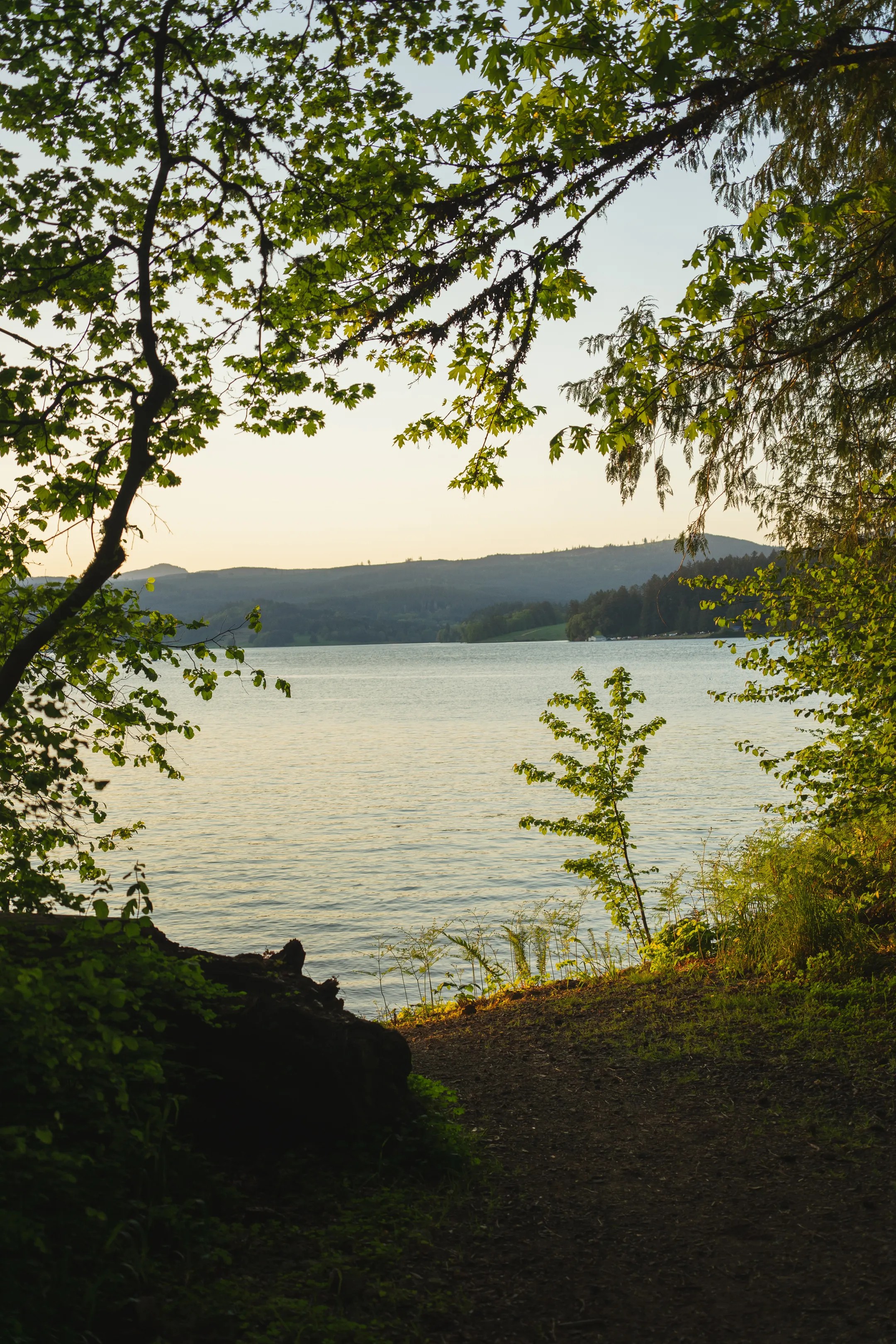 Hagg Lake Loop Hiking Trail via Elks Recreation Area