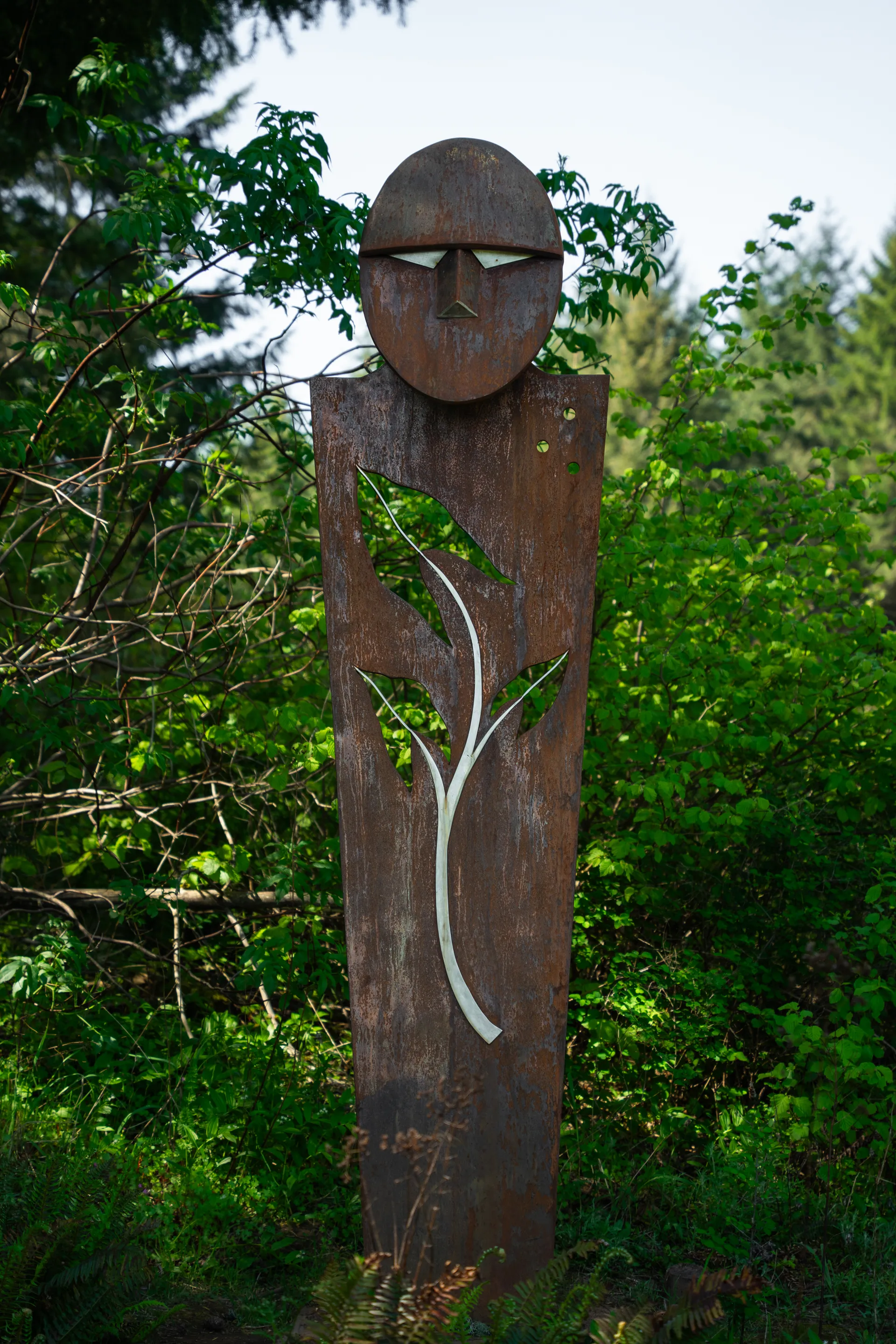 Chehalem Ridge Trail via Timber Road, Gaston, Oregon | The Outbound