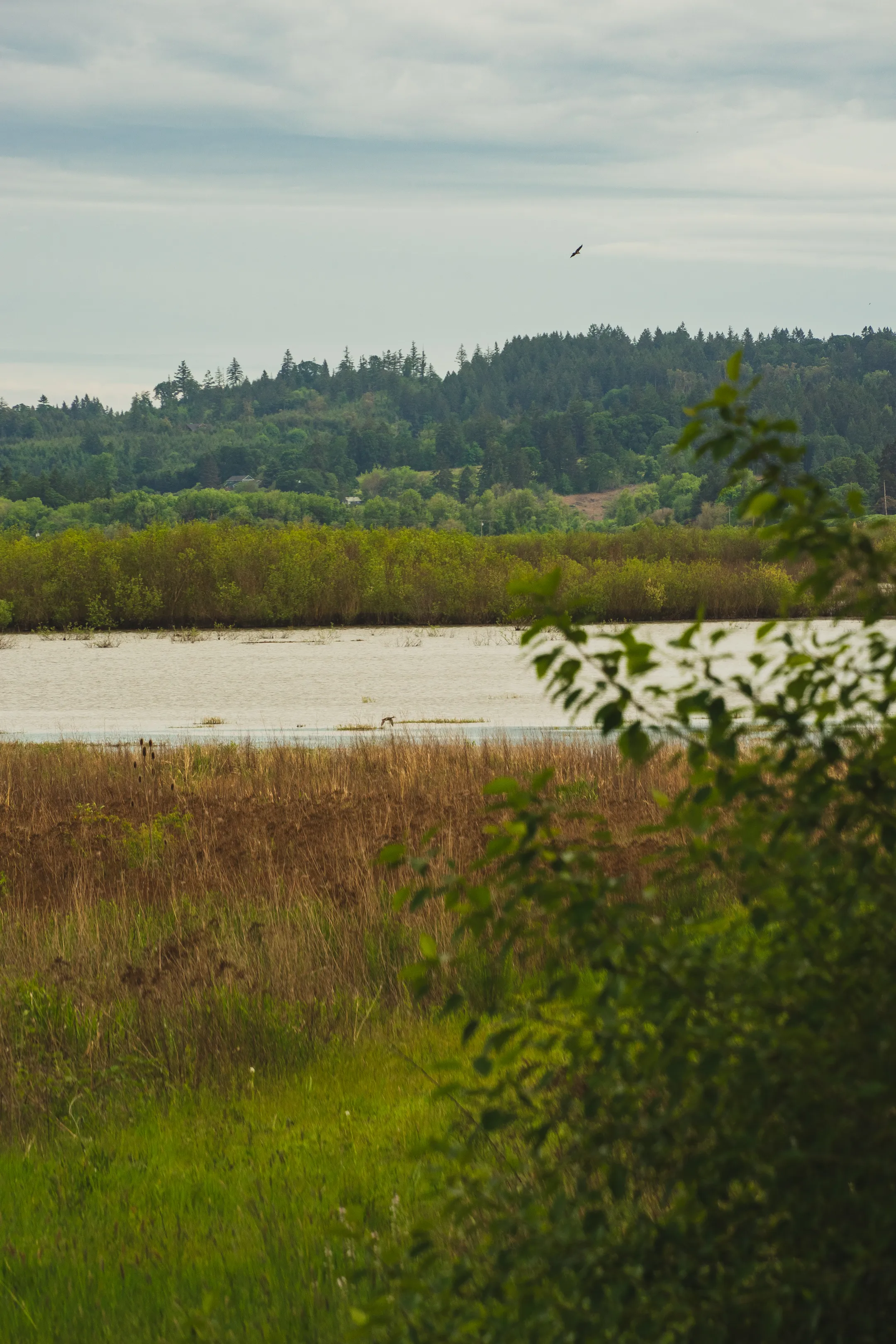 Wapato Lake National Wildlife Refuge Trail